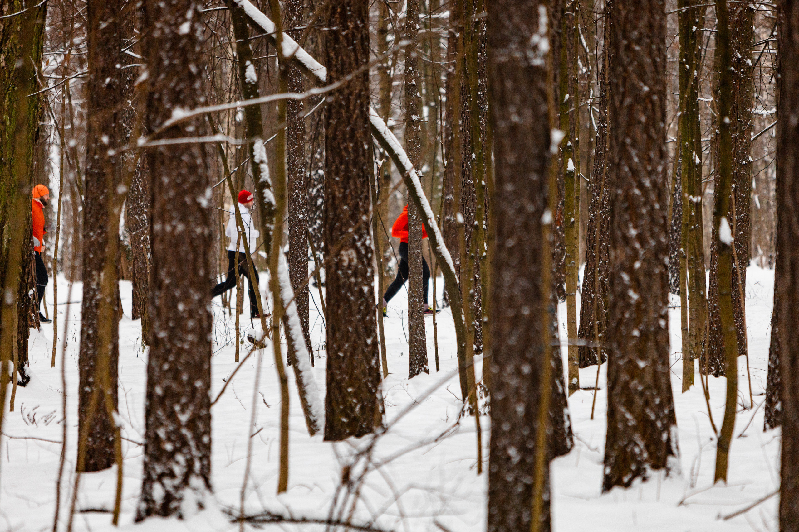 Воскресная длительная IzMyLong 20.11.2022. Павел Шарапов | Фотограф | Москва