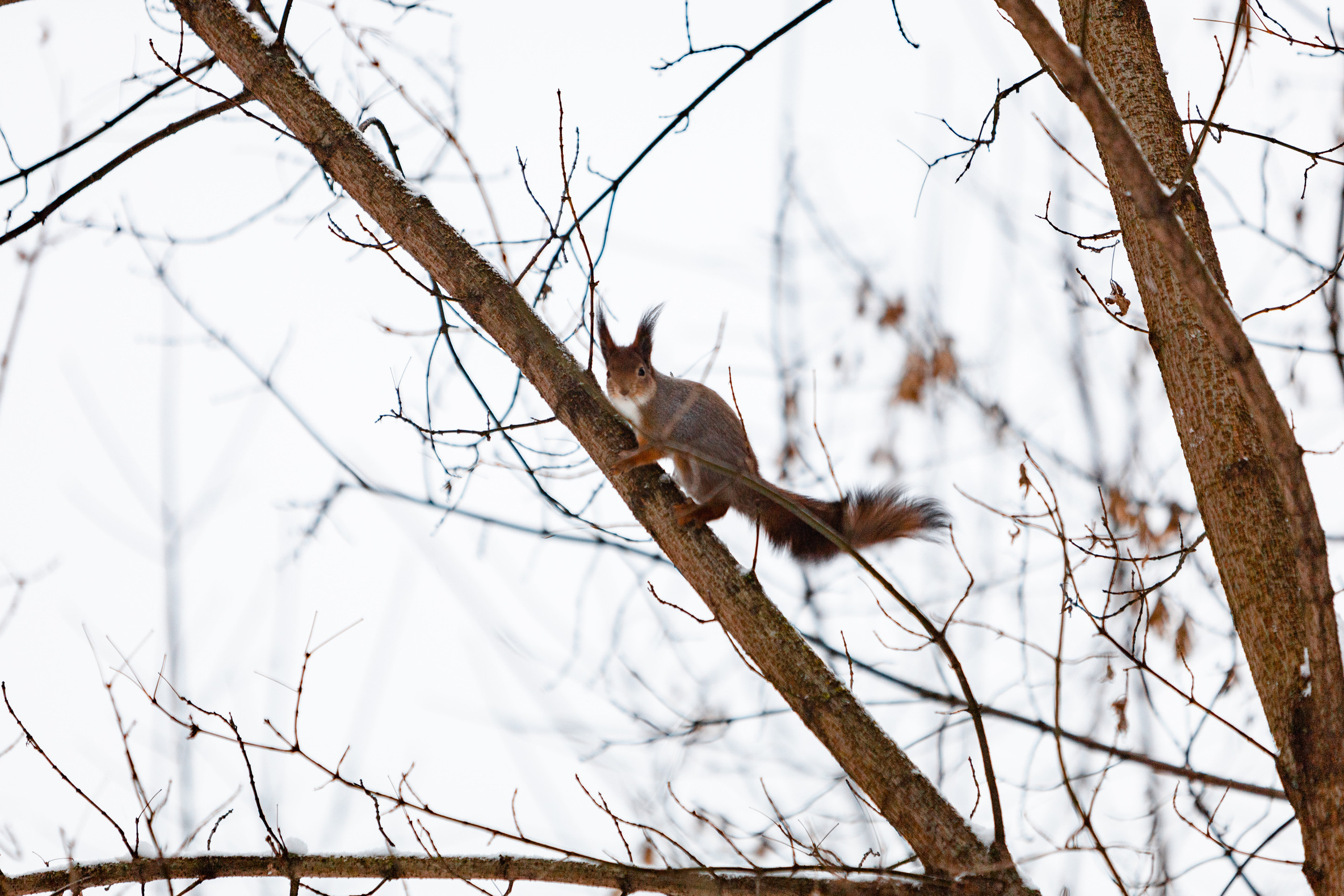 Воскресная длительная IzMyLong 20.11.2022. Павел Шарапов | Фотограф | Москва