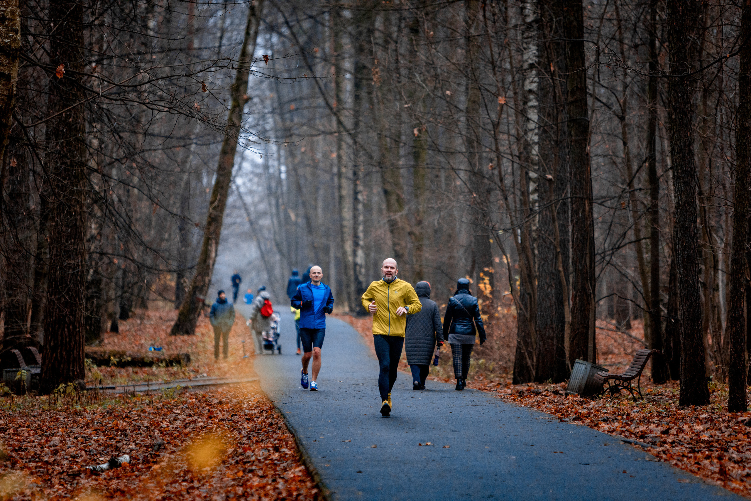 Зеленое кольцо Москвы 2021. Павел Шарапов | Фотограф | Москва
