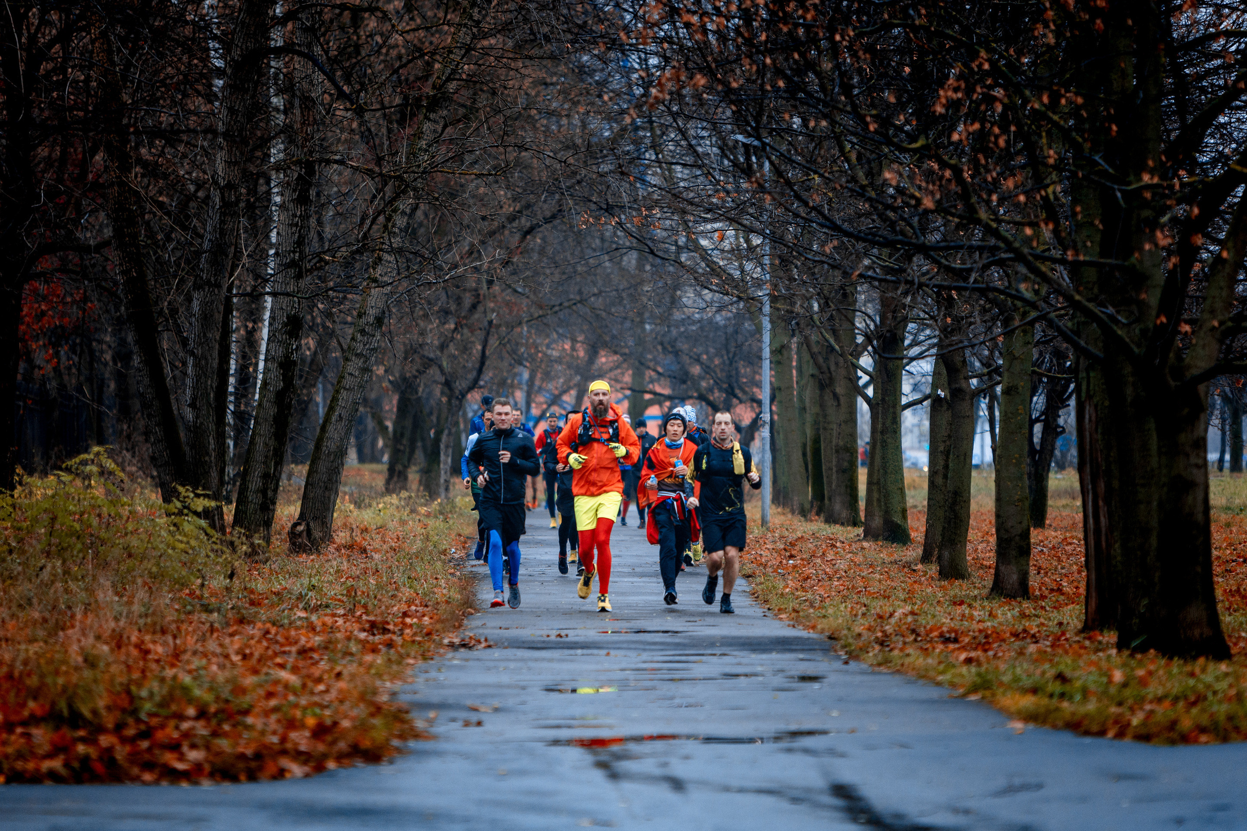 Зеленое кольцо Москвы 2021. Павел Шарапов | Фотограф | Москва