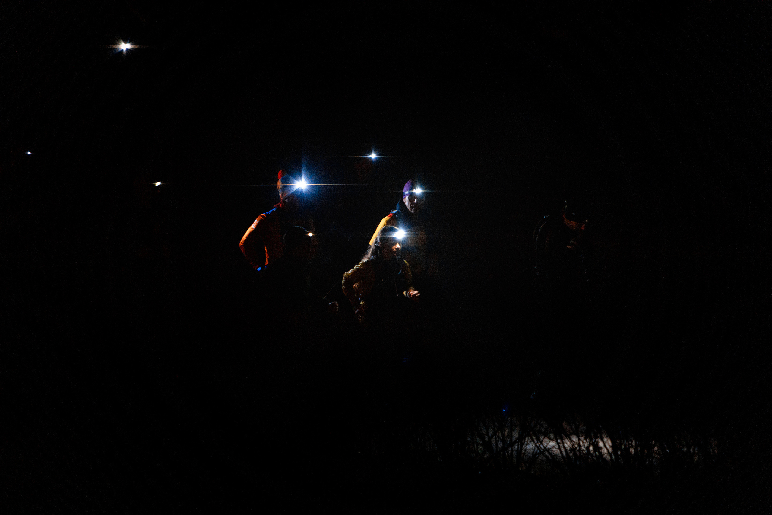 Зеленое кольцо Москвы 2021. Павел Шарапов | Фотограф | Москва