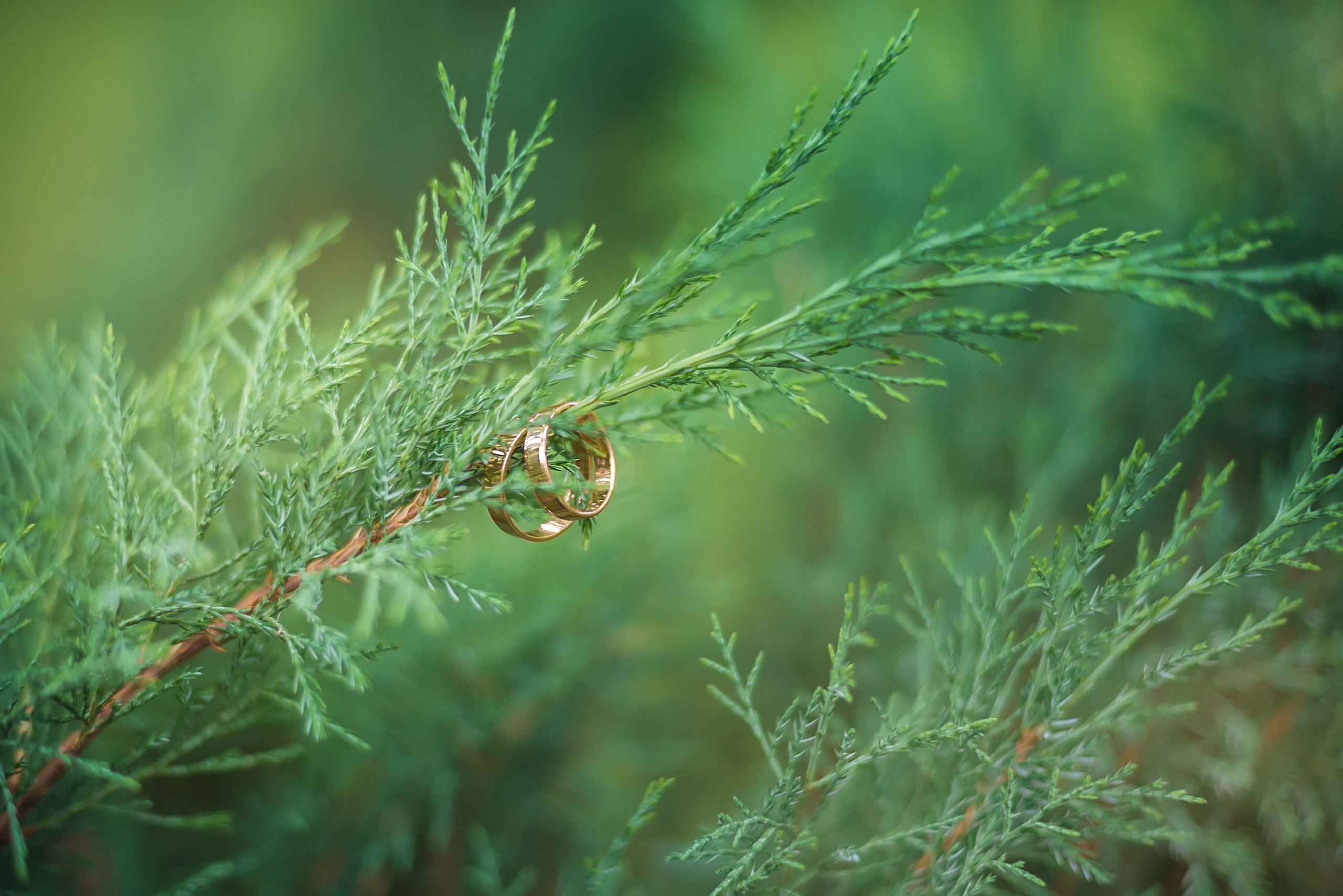 Свадебный и семейный фотограф Москва, Иваново Марина Праулинь (Плаксин