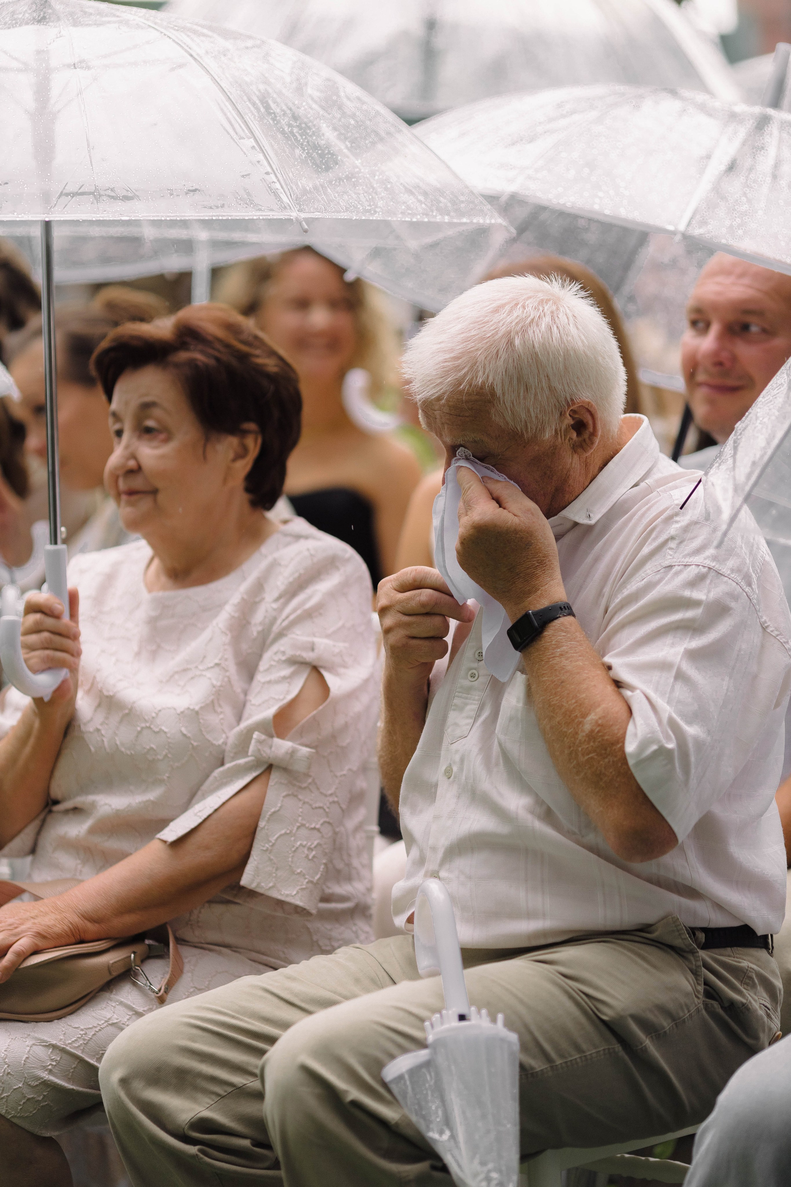 Зеленый сад