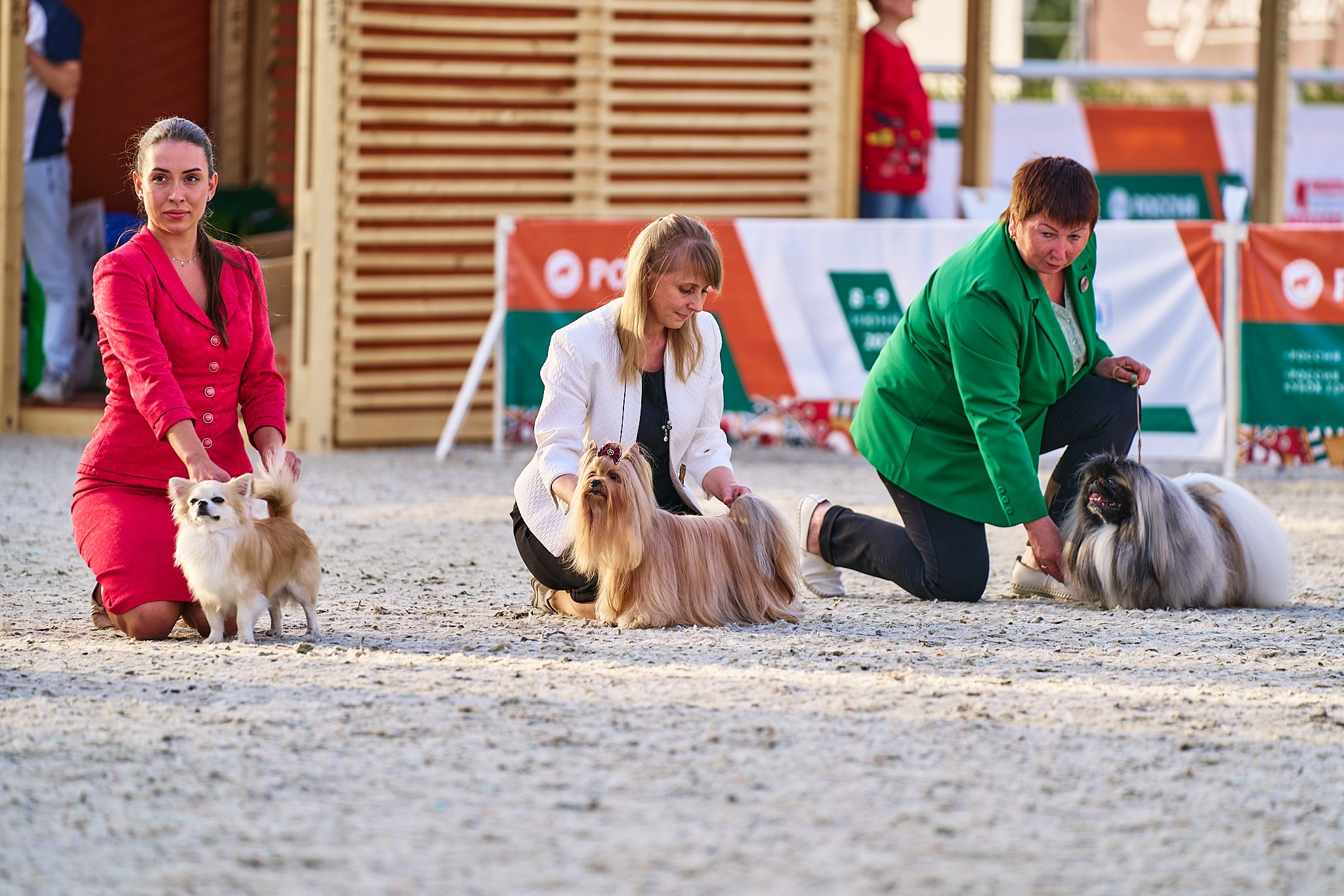 08.06.2024 «РОССИЯ. КУБОК РКФ 2024»