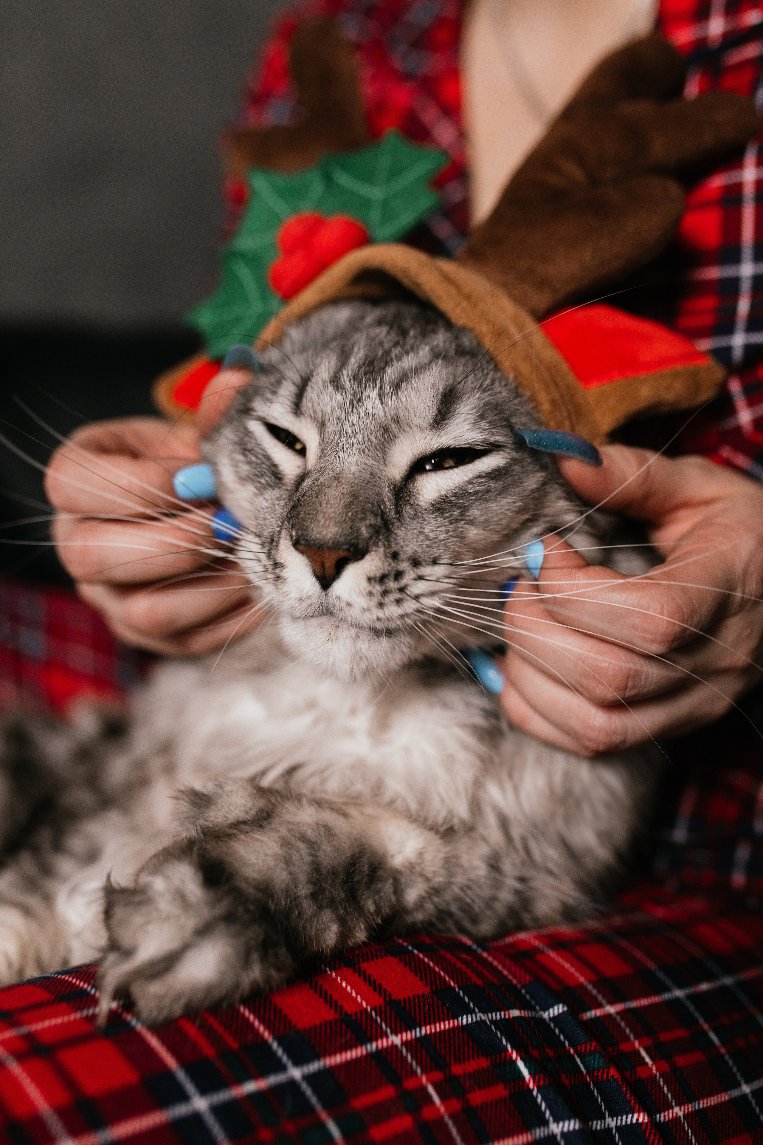 Люда. Свадебный, семейный фотограф в Рязани Лена Брант