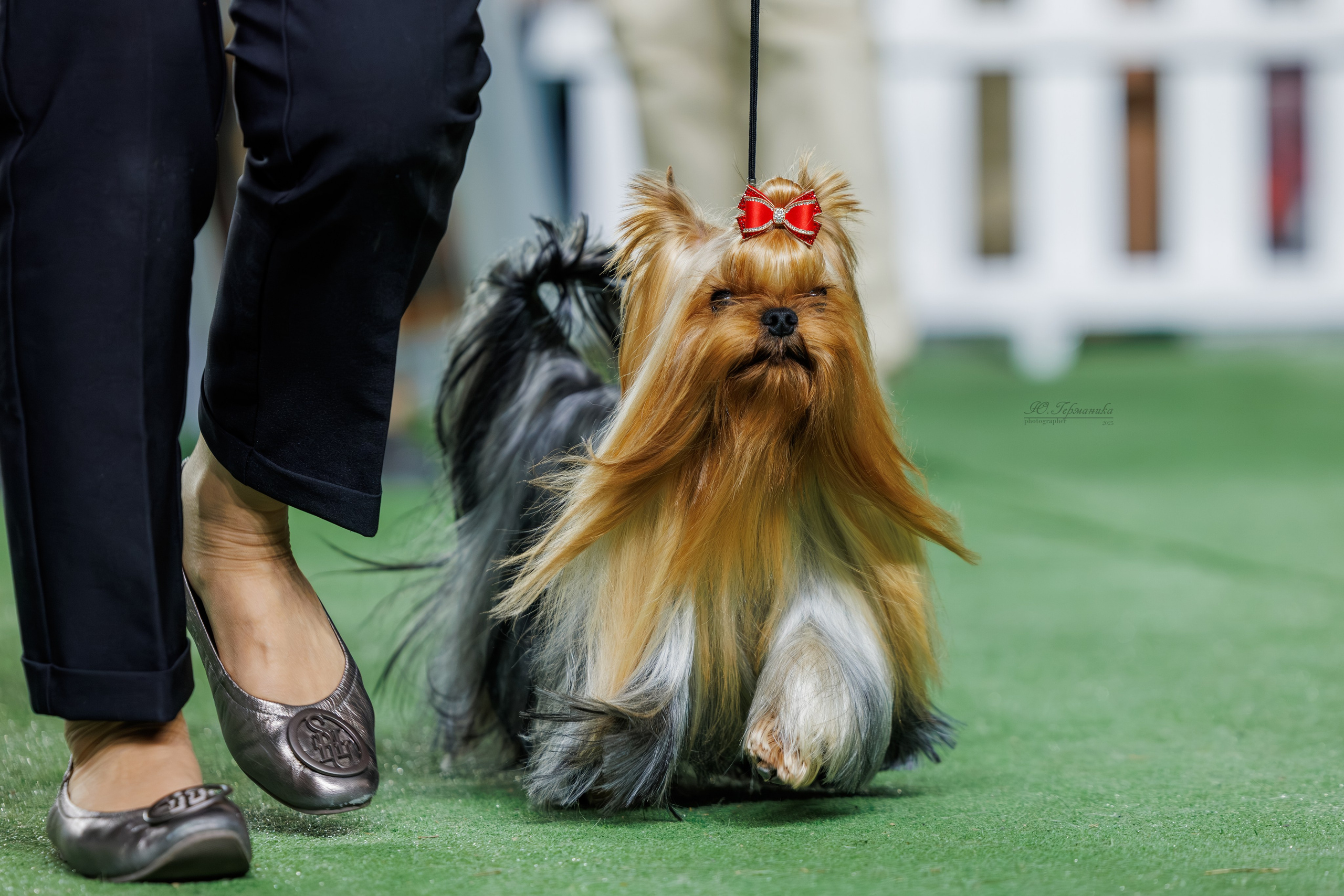 Телави 11-12.10.2025. Фотограф-анималист Юлия Германика