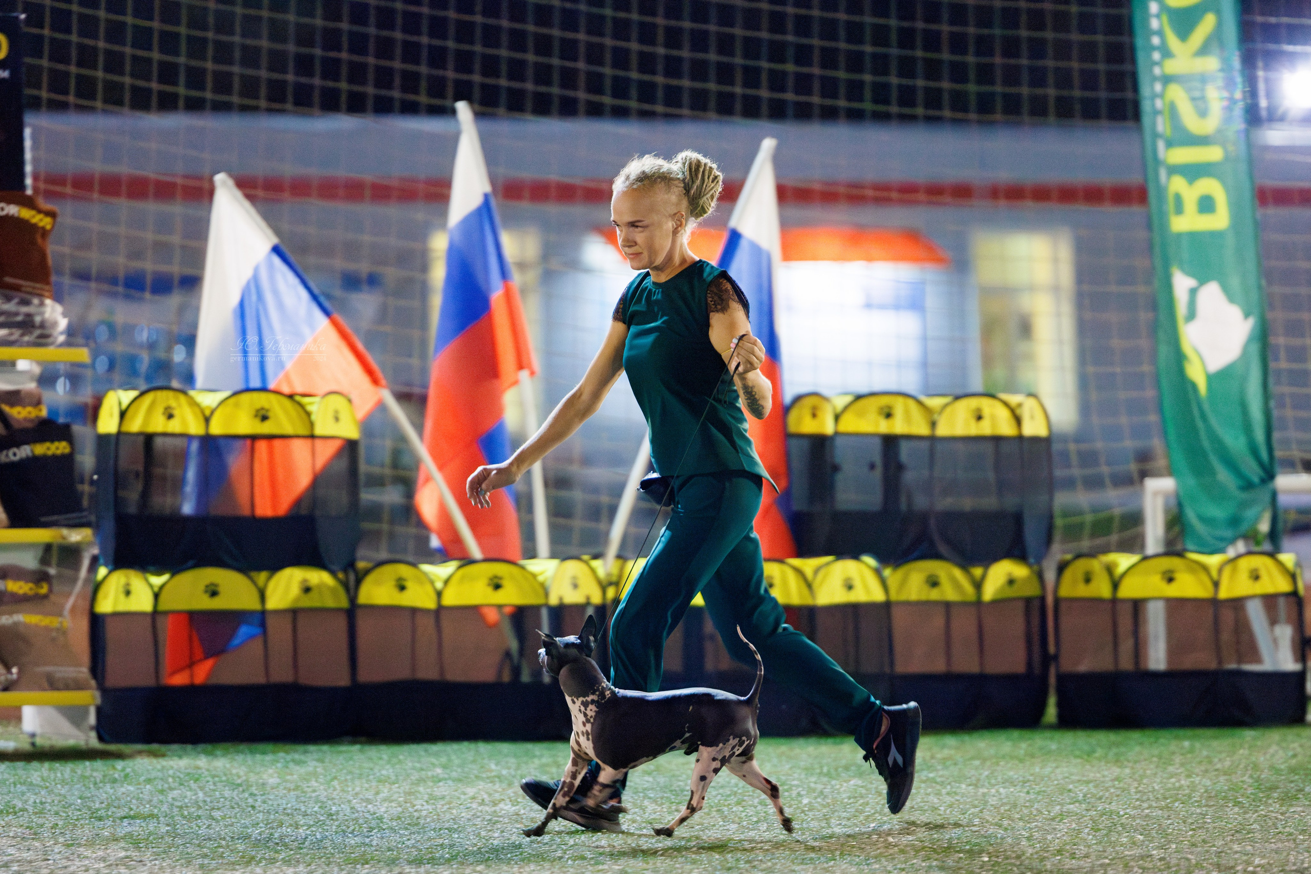 Волгоград 2-4.08.2024. Фотограф-анималист Юлия Германика