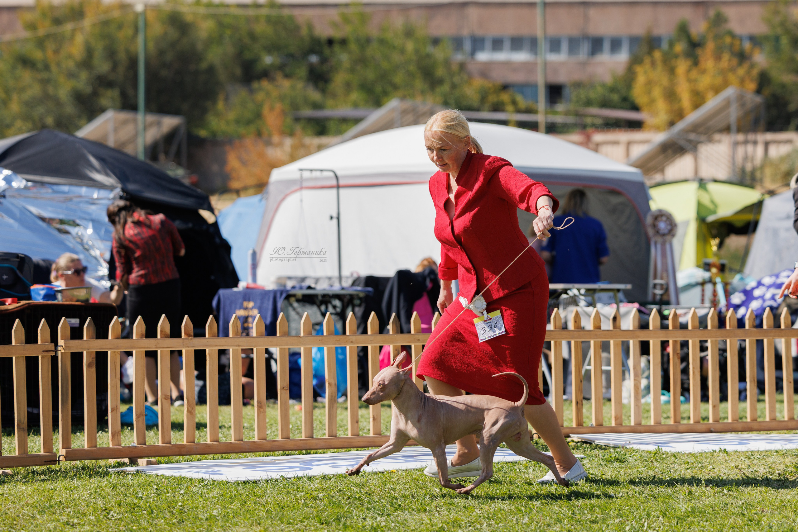 Ереван 14-16.10.2025. Фотограф-анималист Юлия Германика