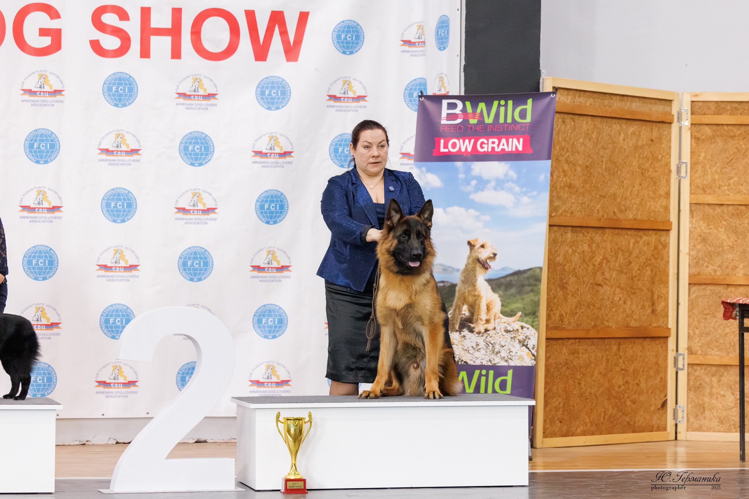 Ереван 2х CACIB 29-30.04.2025. Фотограф-анималист Юлия Германика