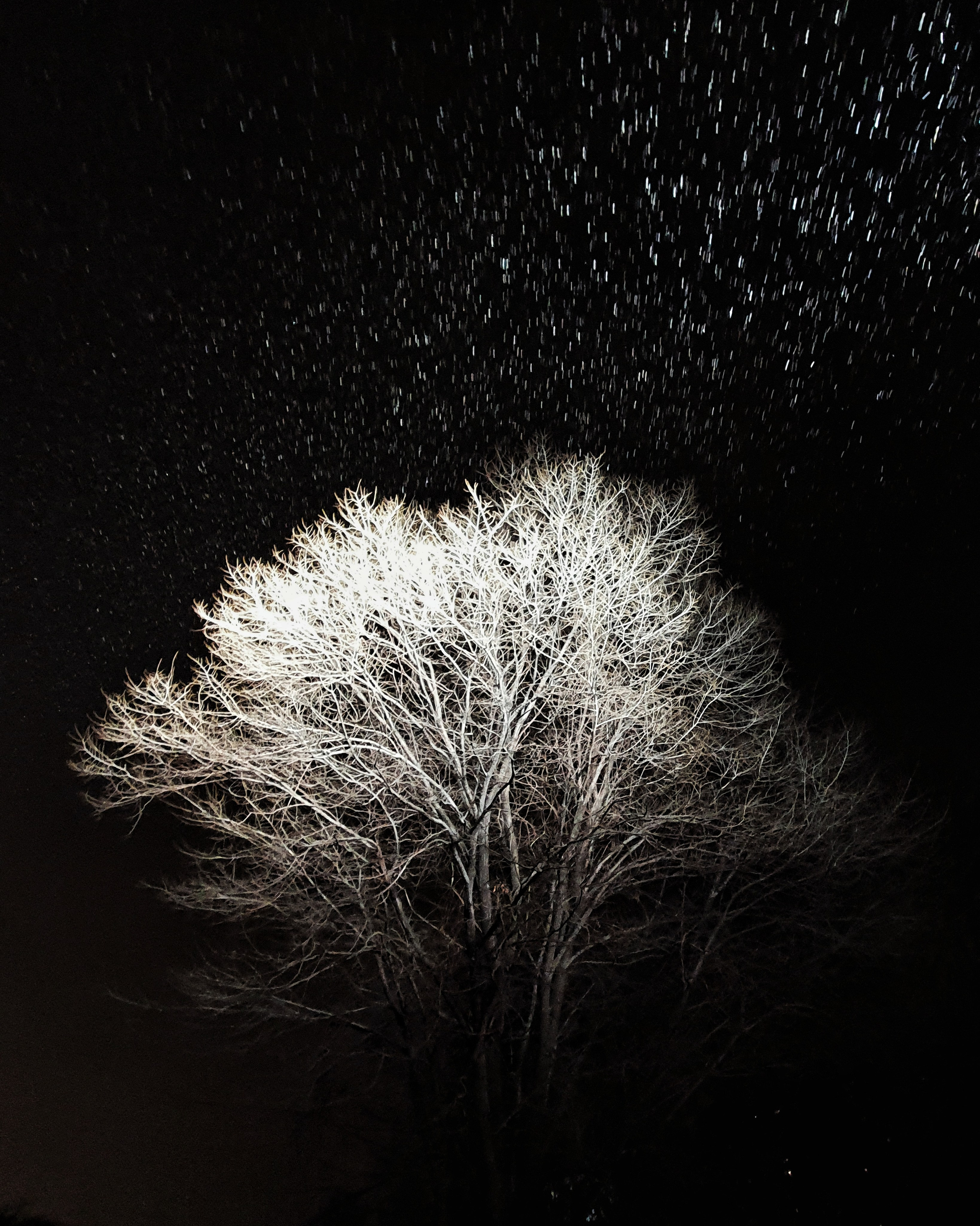 MONOCHROME | NATURE. Любовь Моргасова [LU SPRING]: Фотограф и куратор