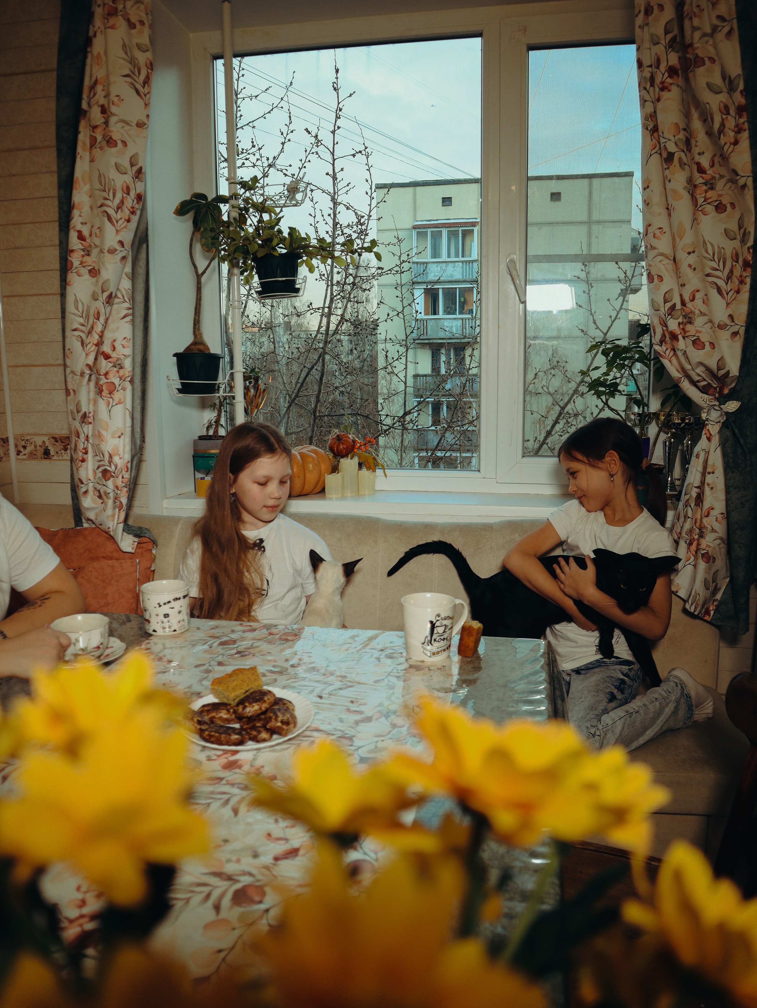 Питомцы. Кинематографичный фотограф, видеограф Лина Плешакова, Санкт-Петербург