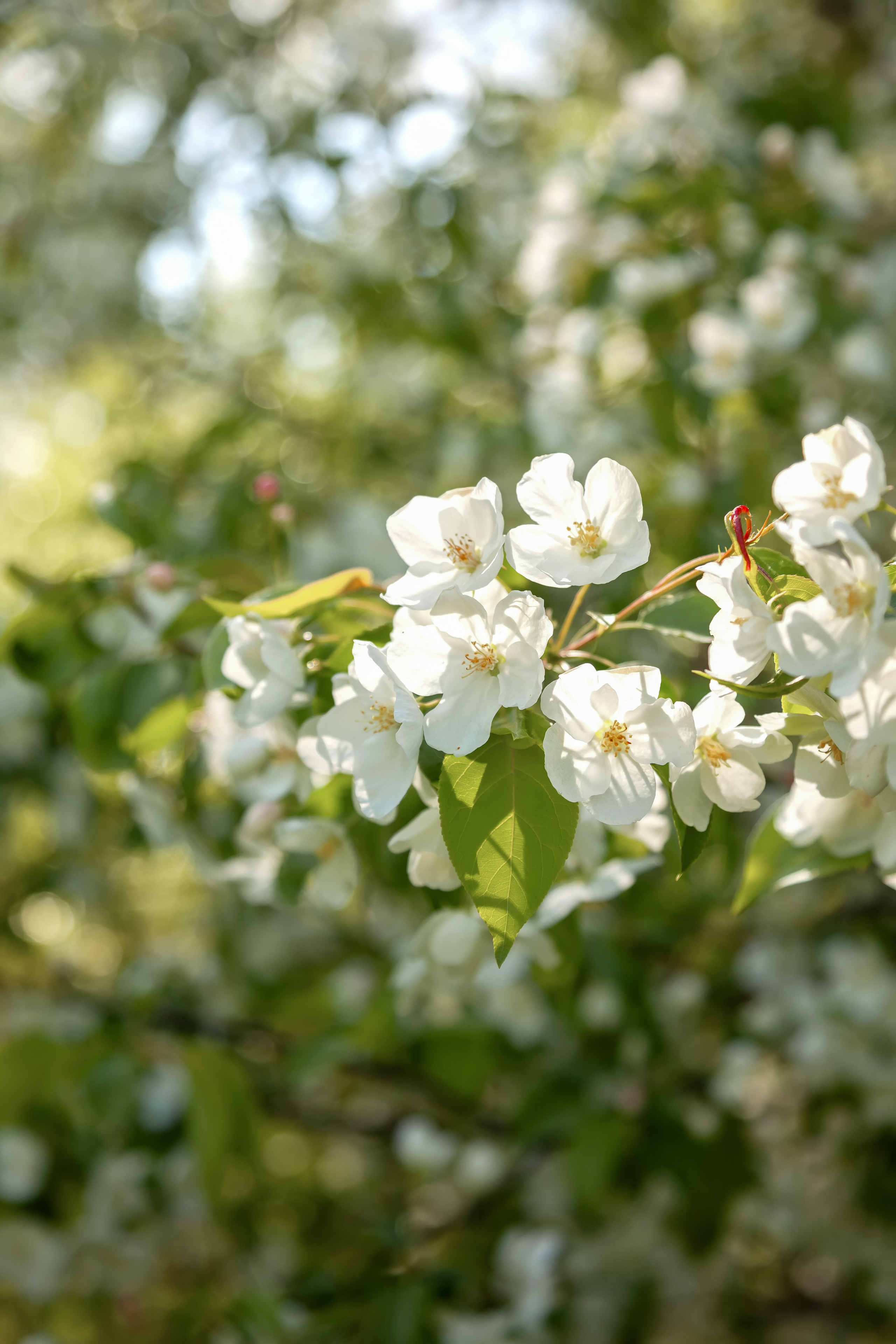 Семья — это там, где любят. Фотограф в Томске Евгения Гуляева