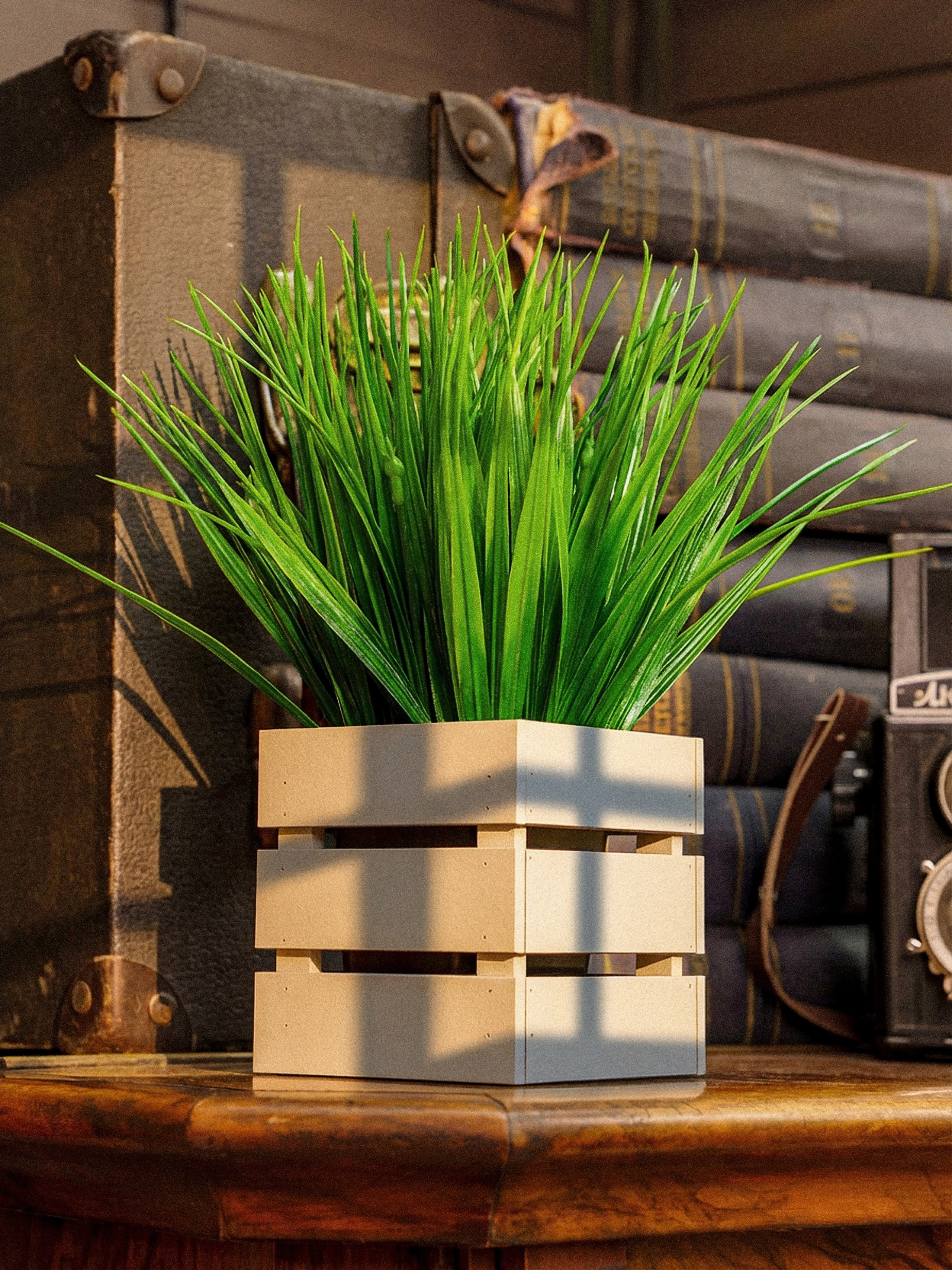 Кашпо. Макаров Сергей|Creamlebot Фотограф города Ростов-на-Дону