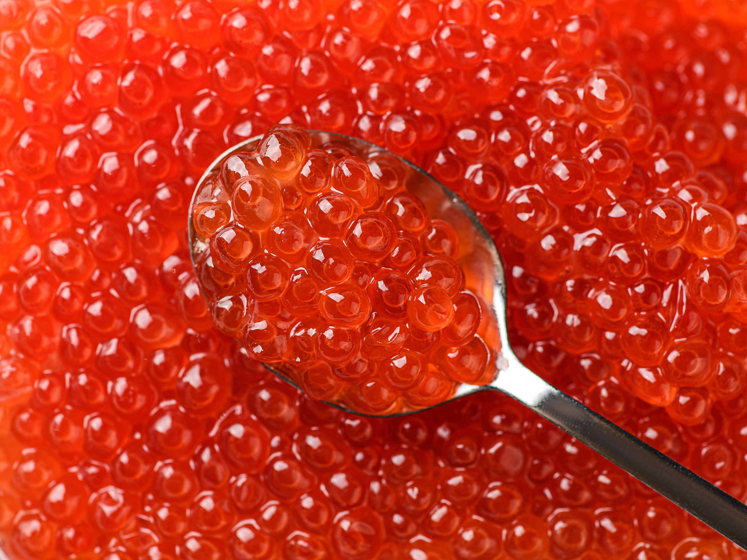 Макро съемка красной икры