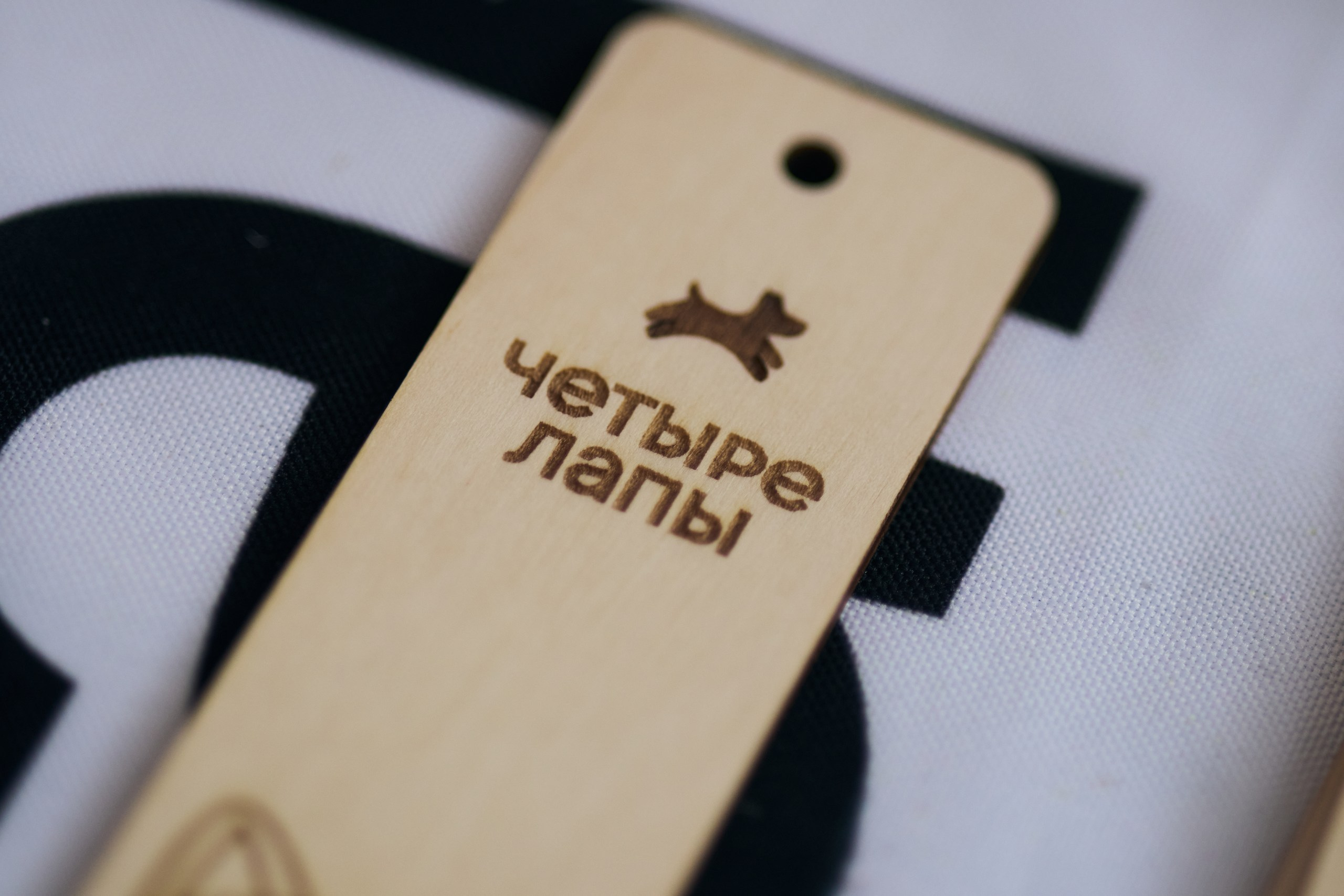 Четыре Лапы. Свадебный и репортажный фотограф Дмитрий Кононенко