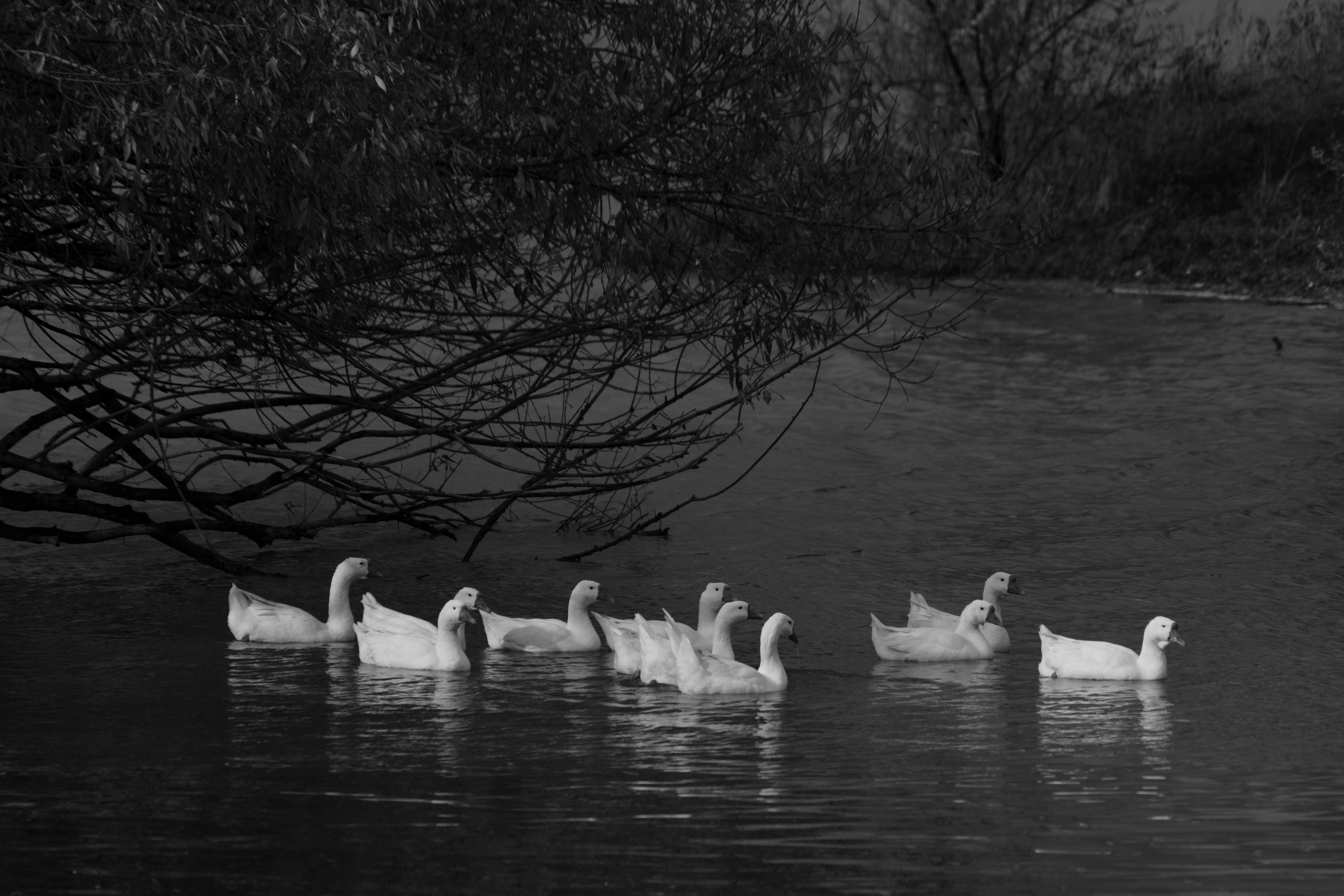 Бекстейдж сьемки кино. Профессиональная съемка в Алматы