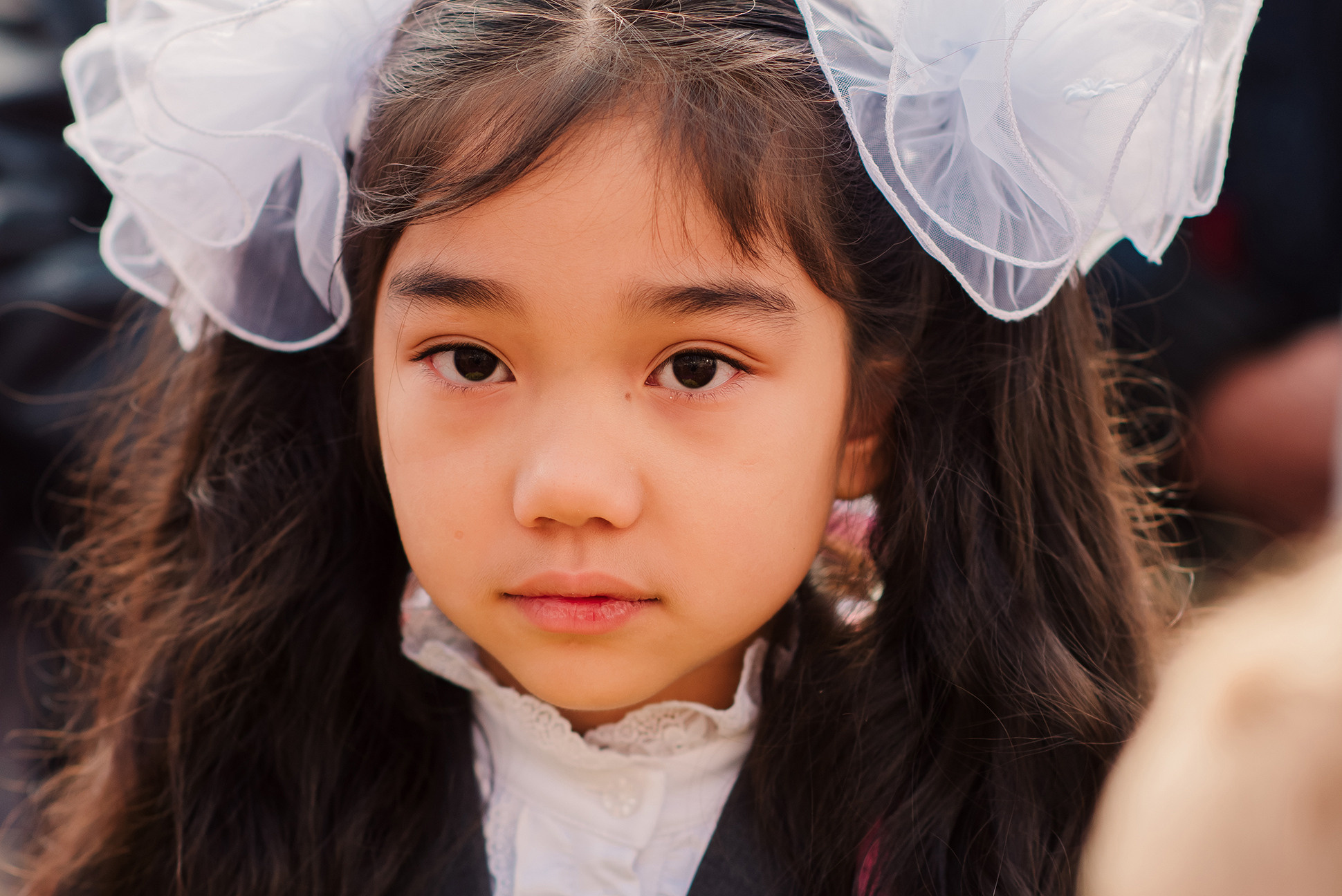 1-е сентября. Семейный и Свадебный фотограф. Санкт-Петербург. Пушкин