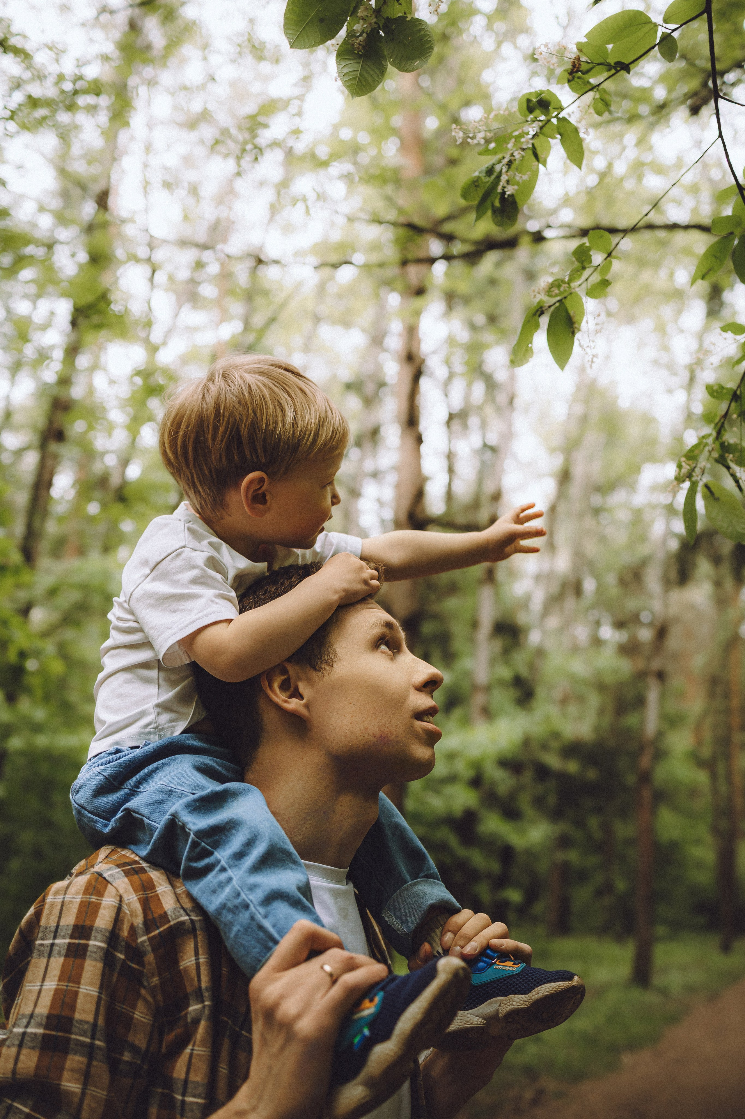 Лорик и его семья