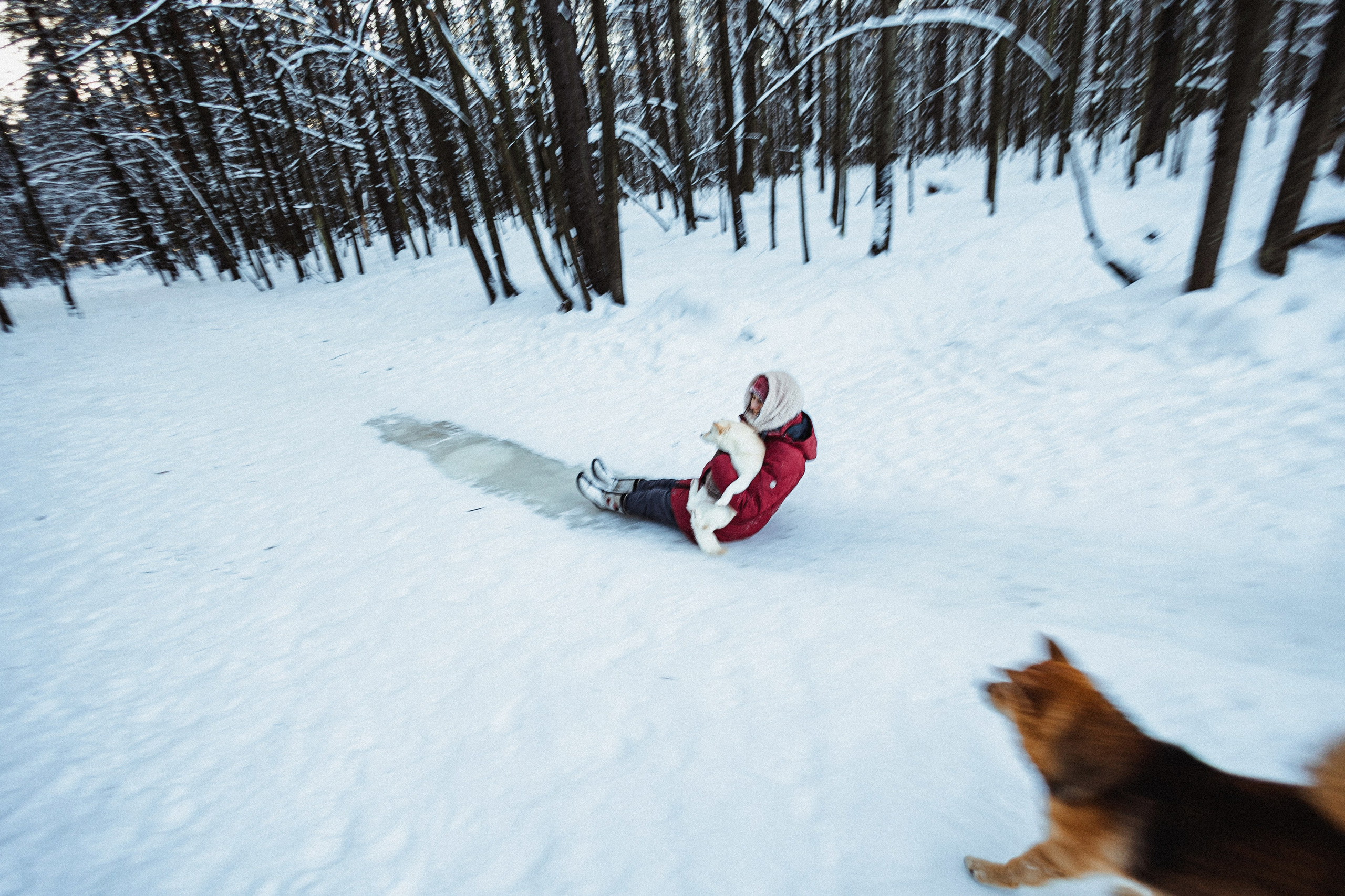 Шед, Цири и Ира