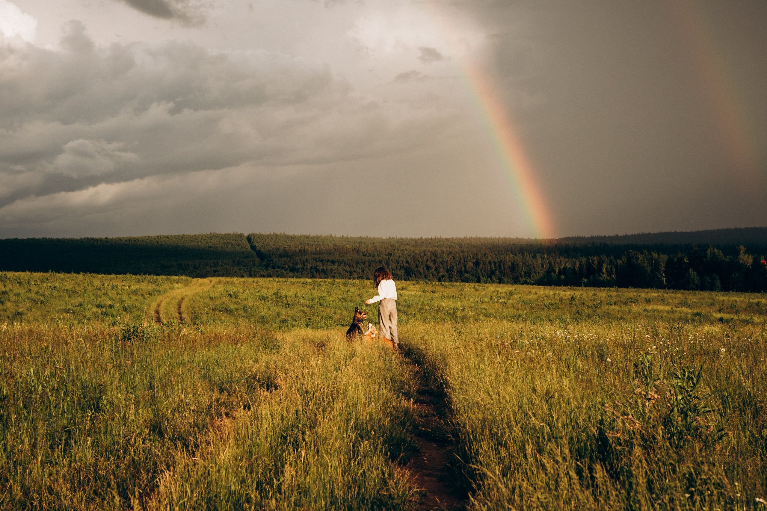 Алсу, Саша, Нага и Тако. Фотограф-анималист Анастасия Большакова