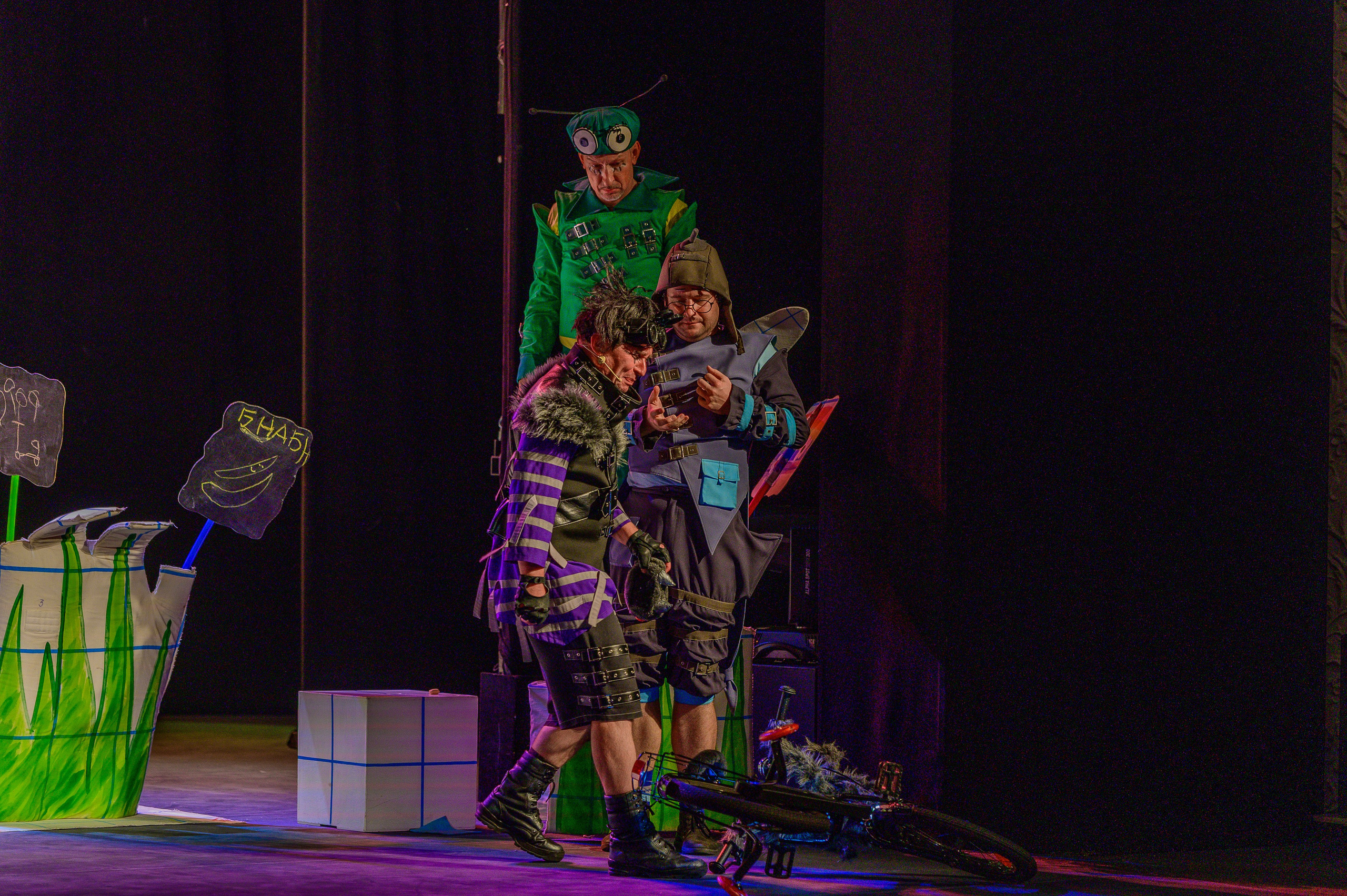 Муха Цокотуха. Фотоуслуги, услуги фотографа, фотографирование важных событий