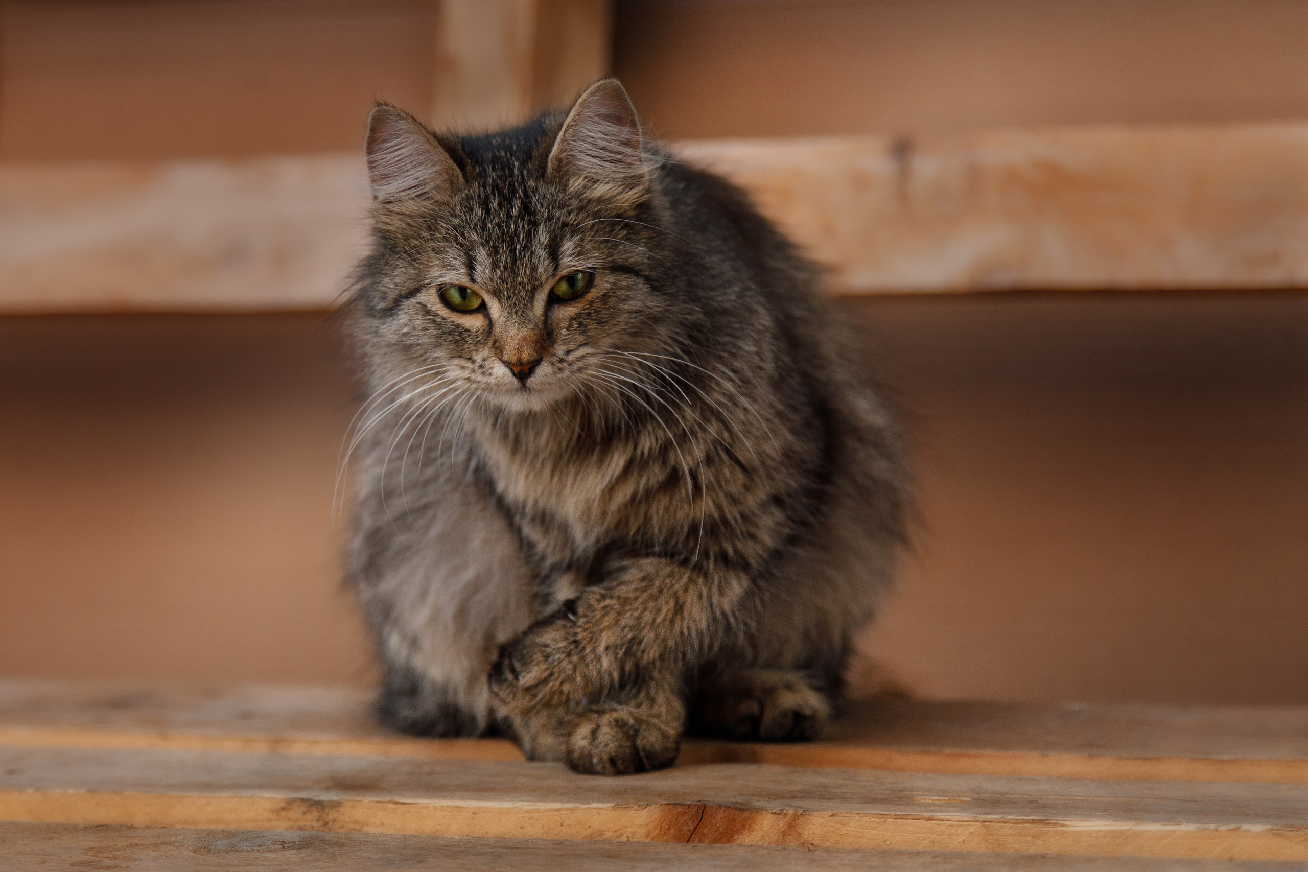 Проект «366»|2024|Фото каждый день. LENA GRACE photographer ||ЛЕНА ГРЭЙС фотограф