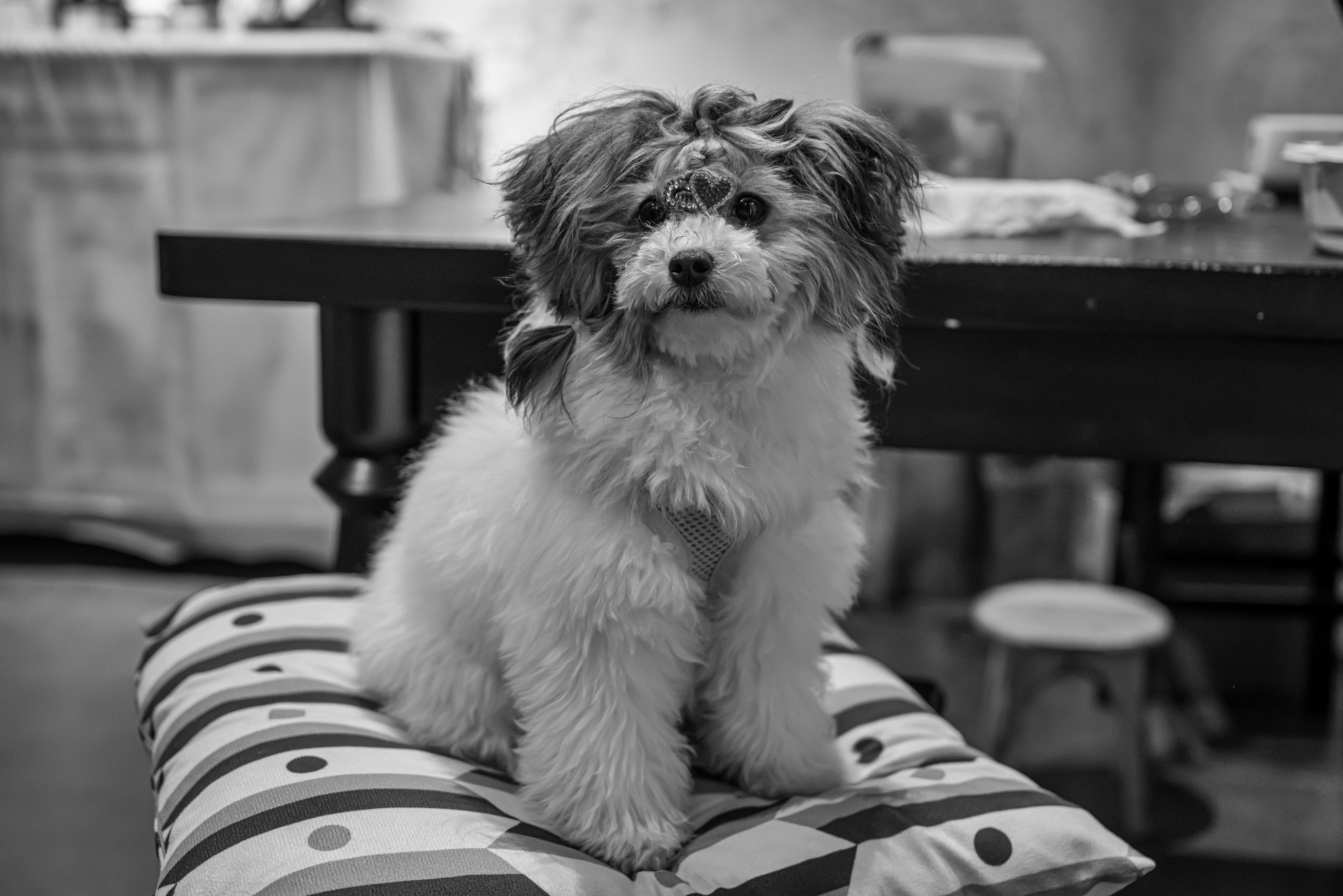 China. Three days — three cities. Beijing, Changsha, Shenzhen, 2024. Dimitri Bakhtadze photographer