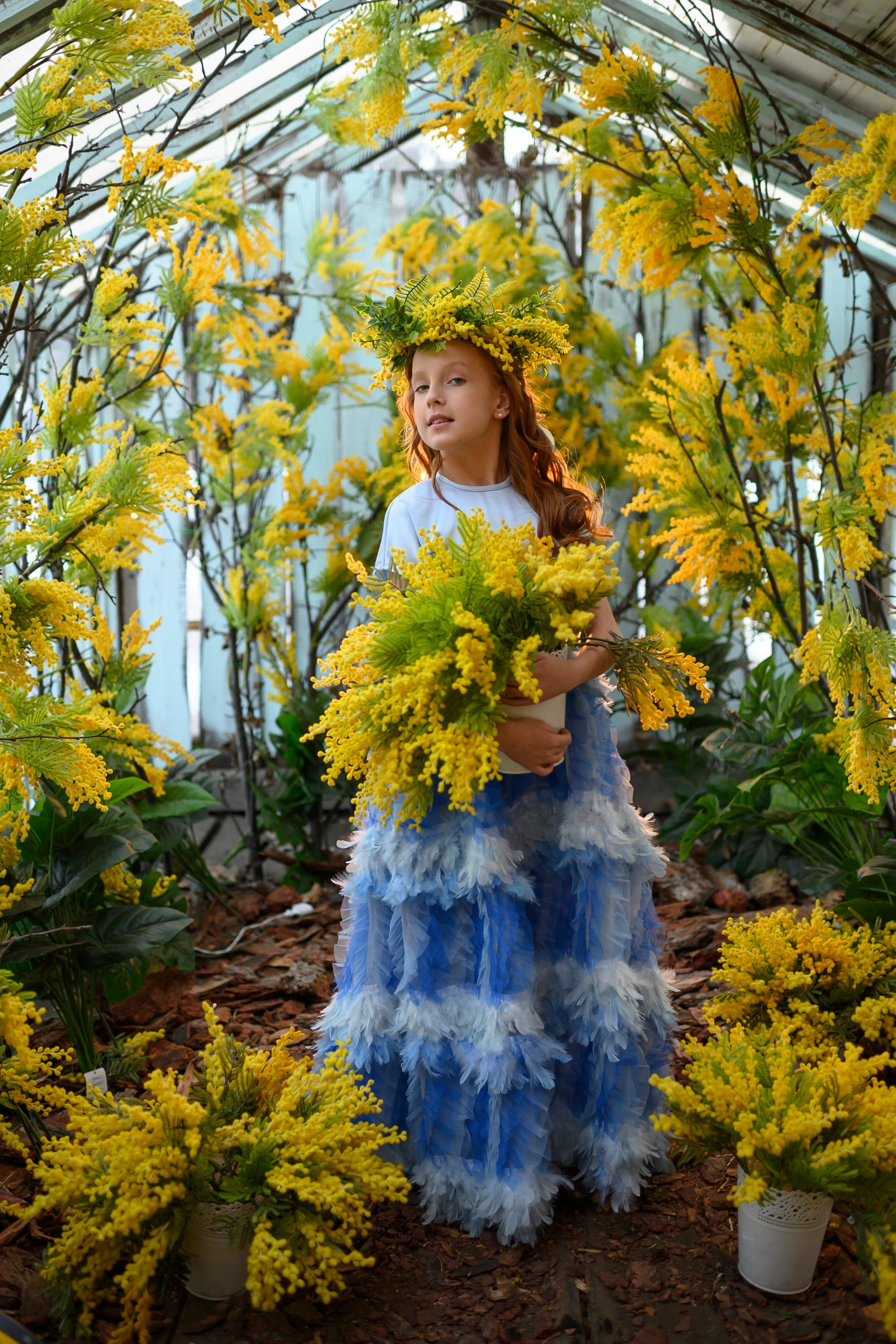 МИМОЗА. Семейный фотограф Екатеринбург Лора Мур