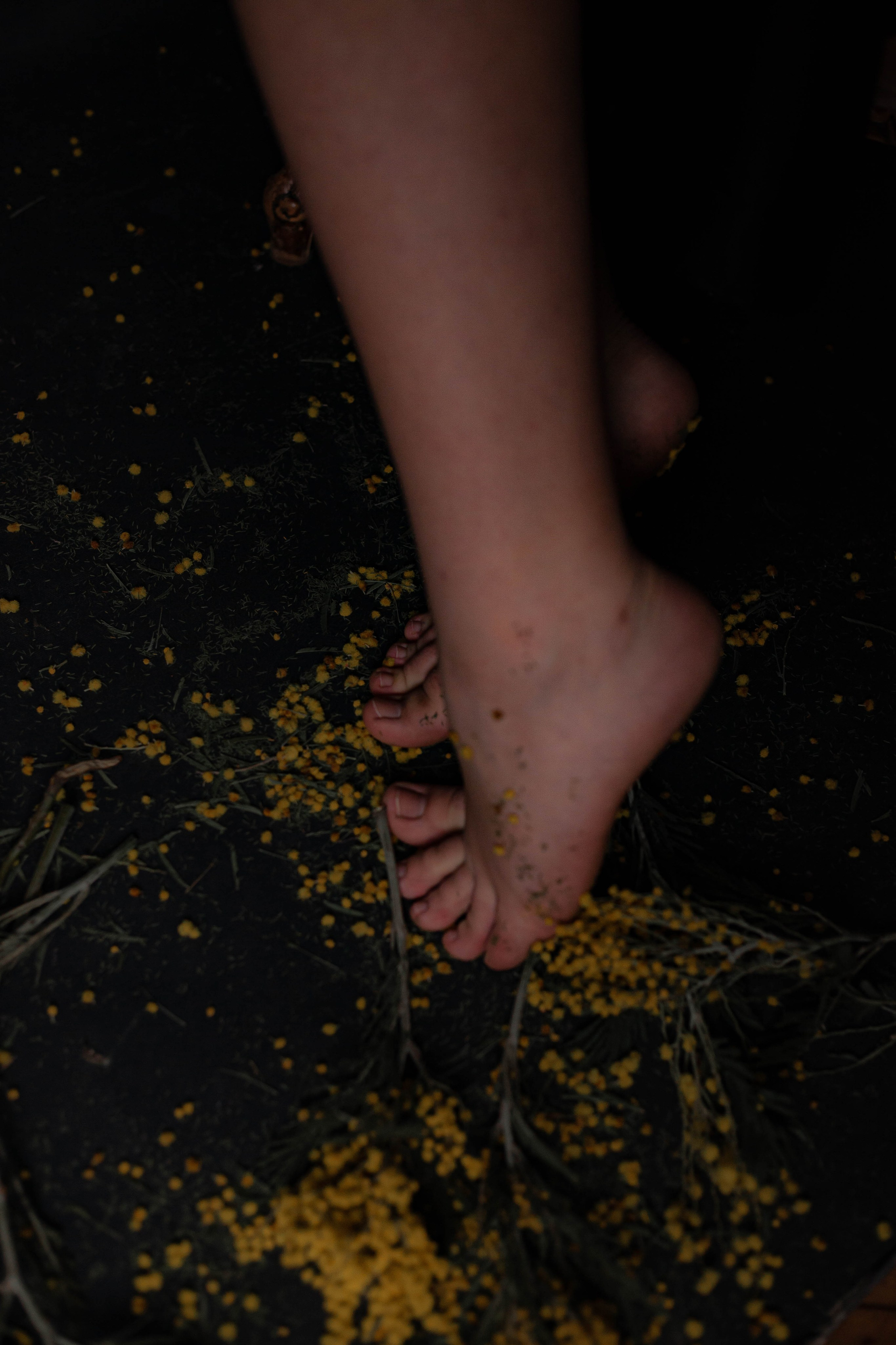 Детали. Женский фотограф Татьяна Ветер. Работаю в Волгограде