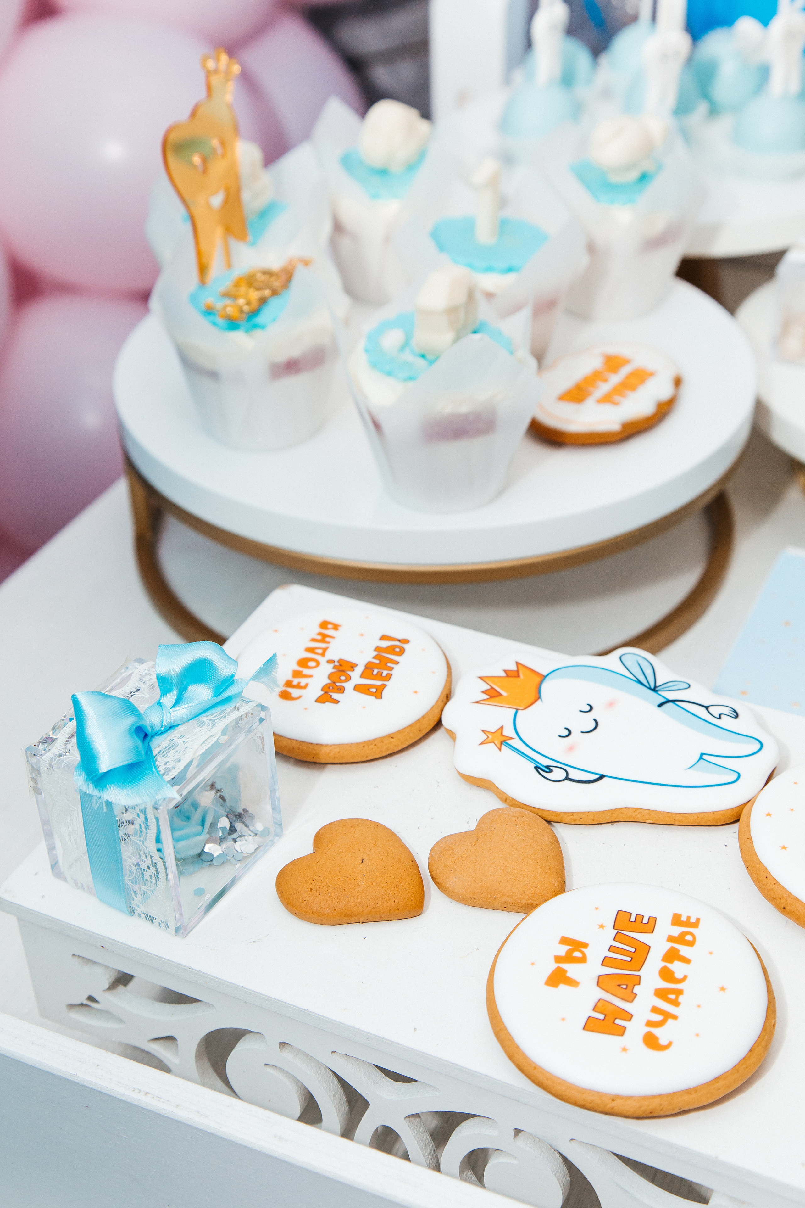 Первый годик Давида. Фотограф Мария Новоселова. Сургут