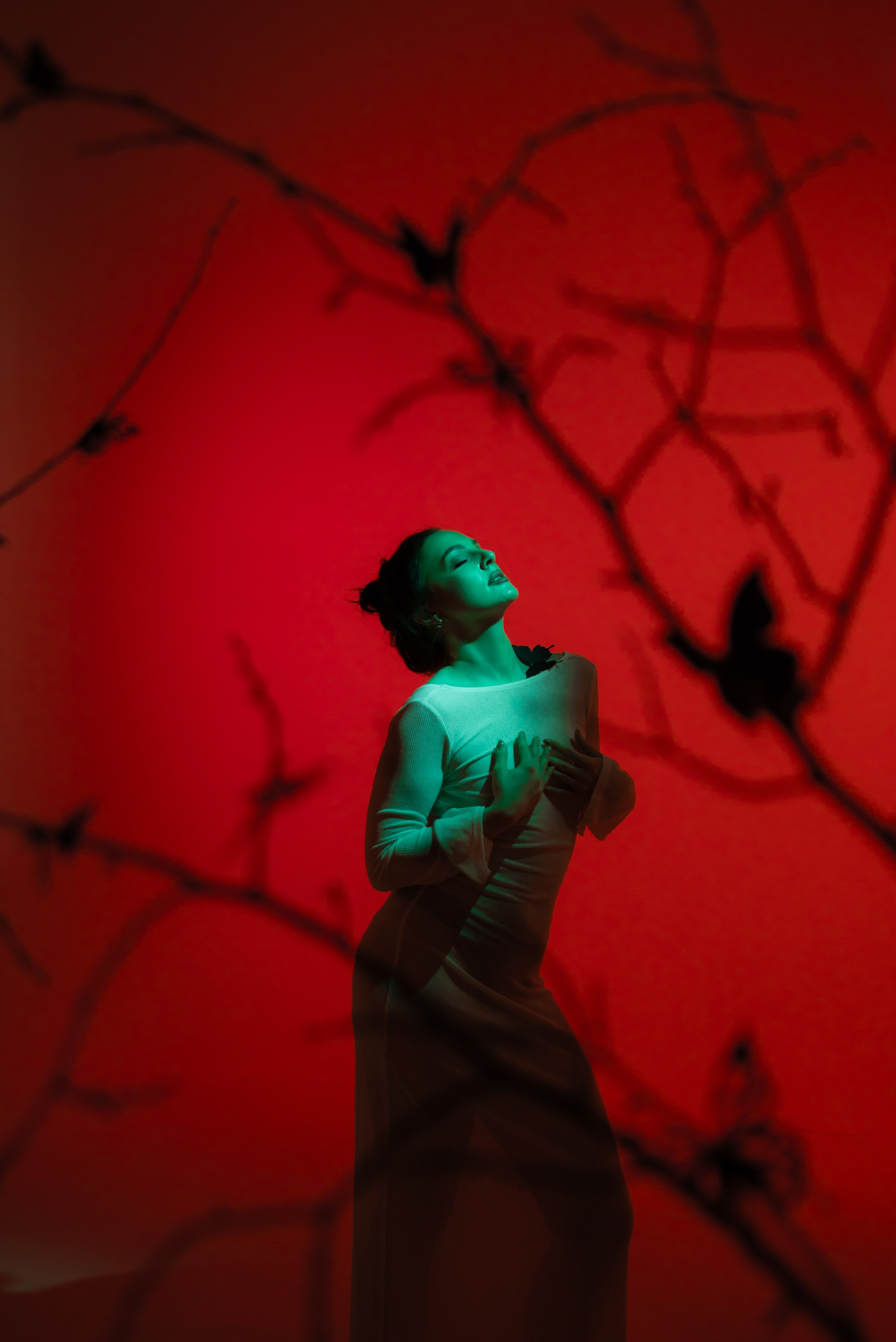 Цвет и свет