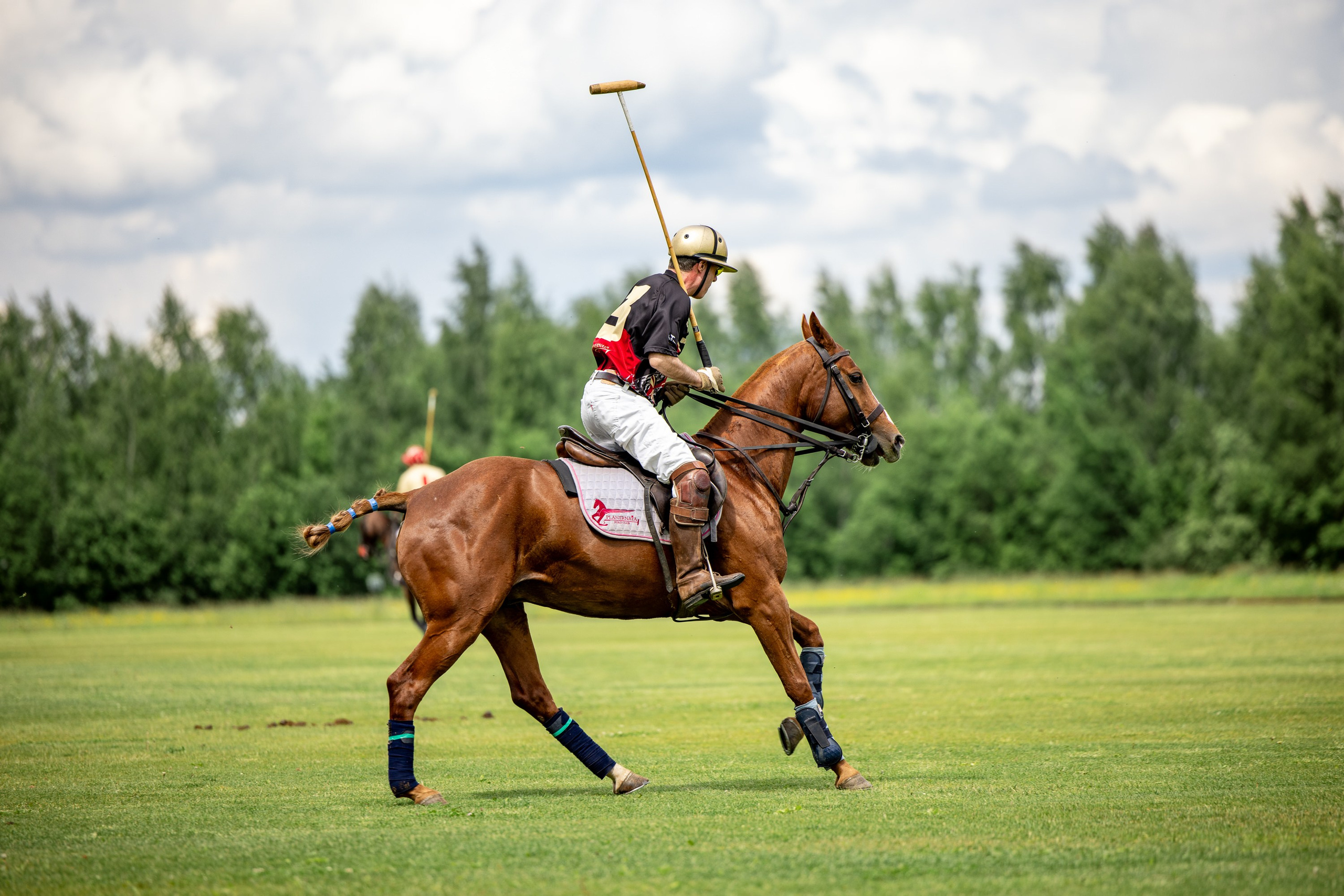Конное поло. Mrs.Aquarelia Конный фотограф Марианна Леонтьева
