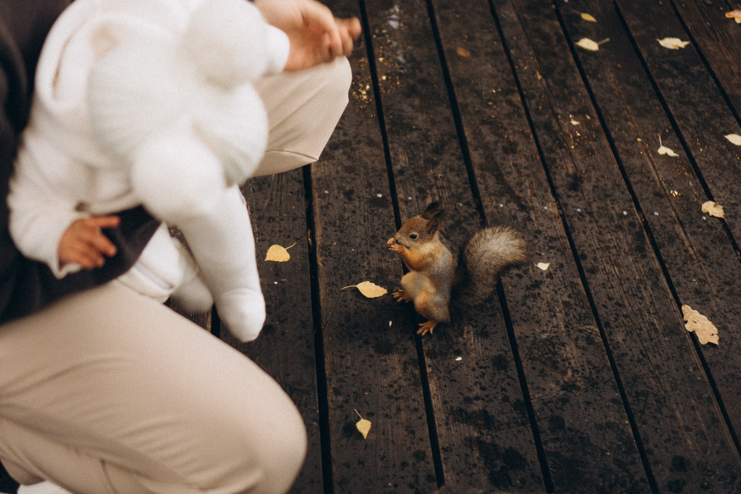 День рождения малышки. Профессиональный фотограф, Санкт-Петербург — Виктория Богомолова