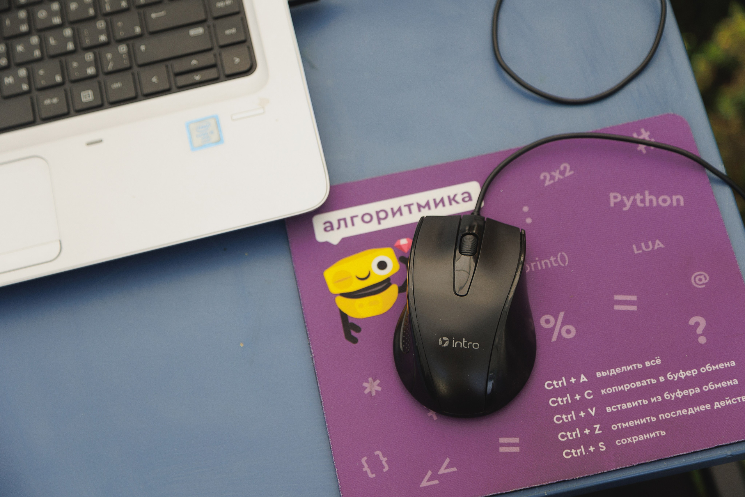 PLAYPORT FEST 2023. Свадебный и репортажный фотограф Калининград