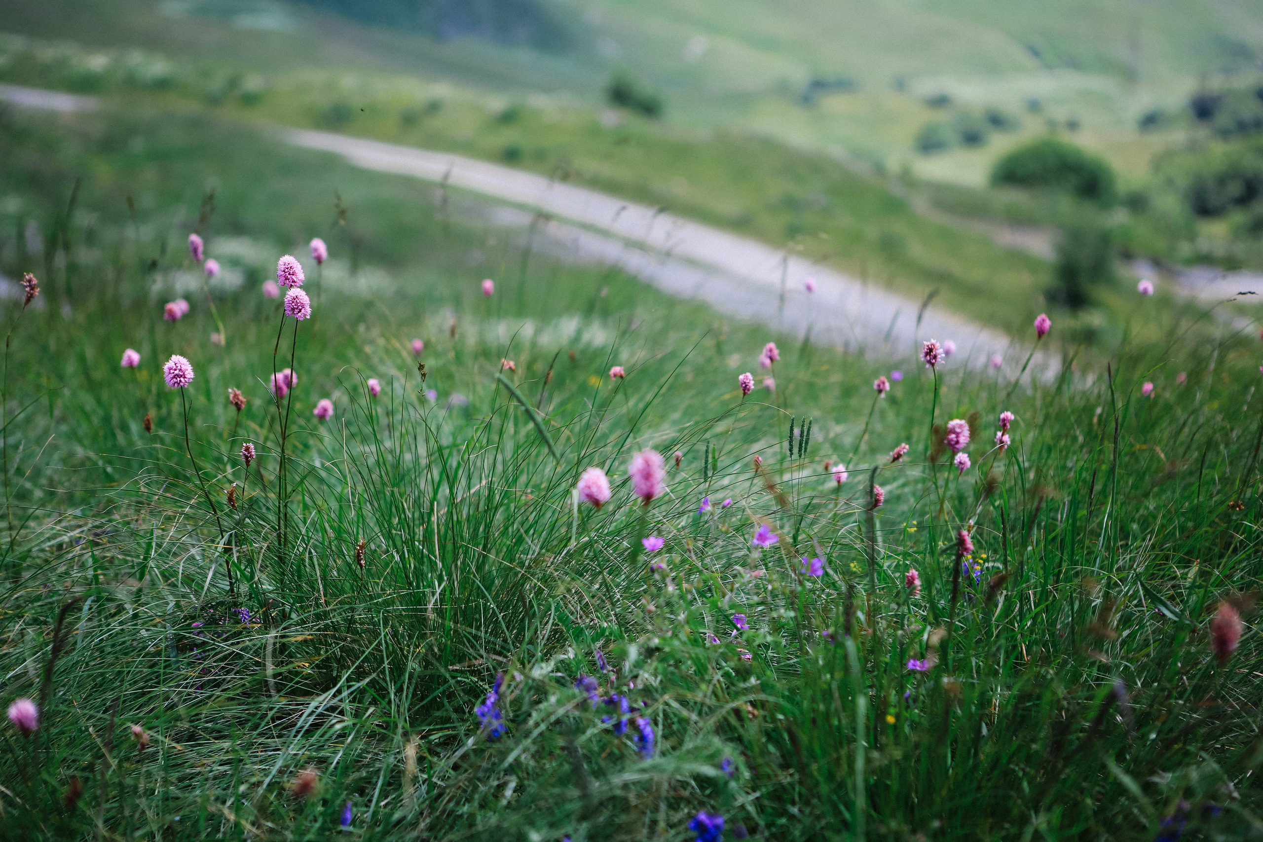 Пресс-тур для Неизвестного Кавказа. Свадебный и портретный фотограф в Пятигорске, КМВ — Власова Юля