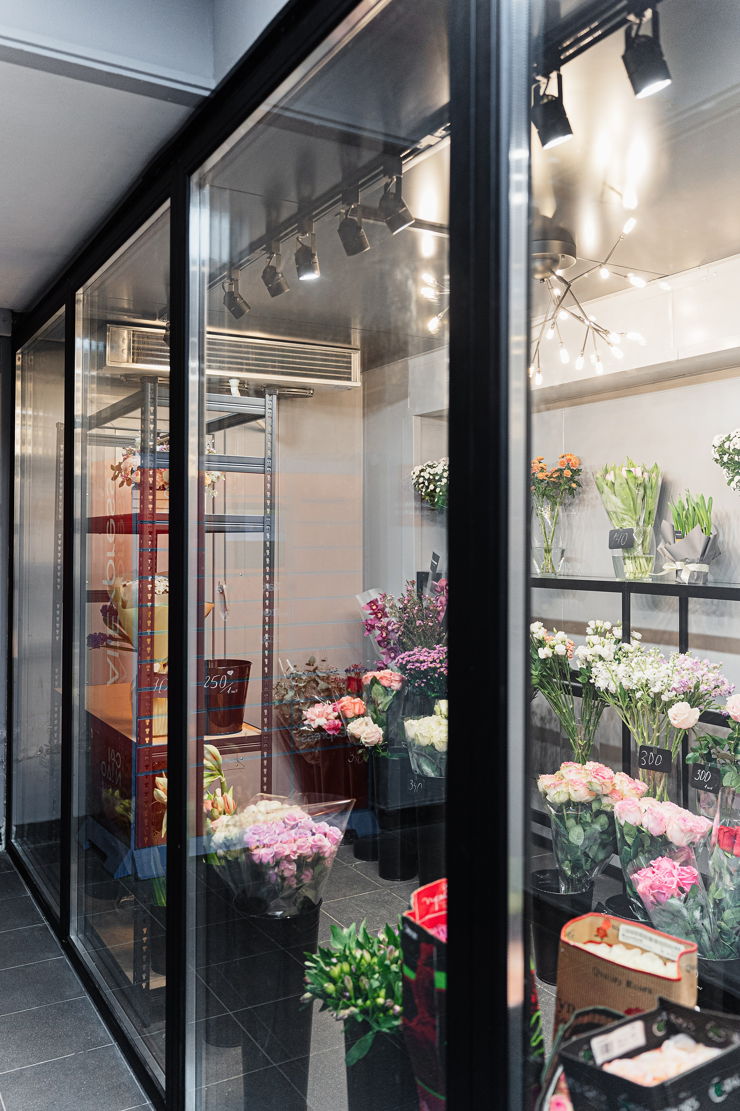 Регион холод. Елена Пашкевич, фотограф, Москва