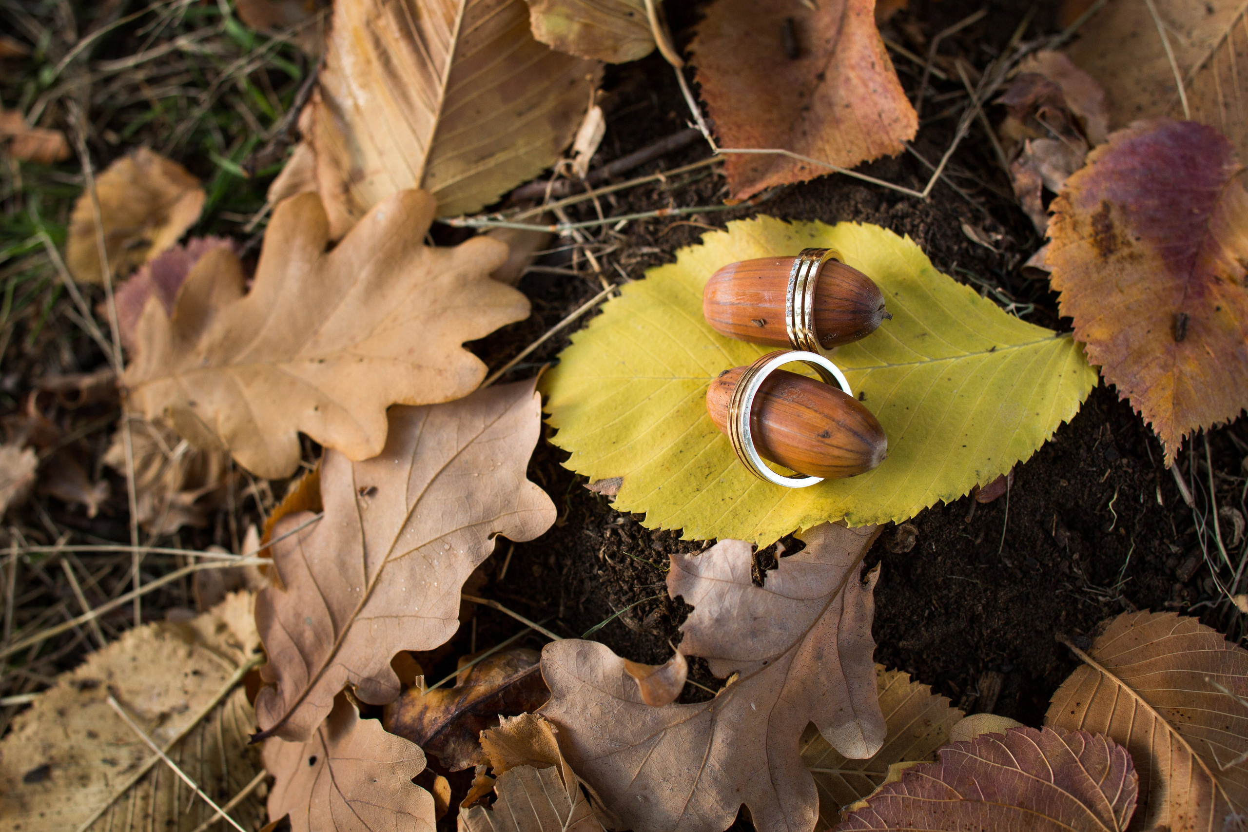 Свадебное портфолио. Фотограф Шейдаев Эмин г. Волгоград