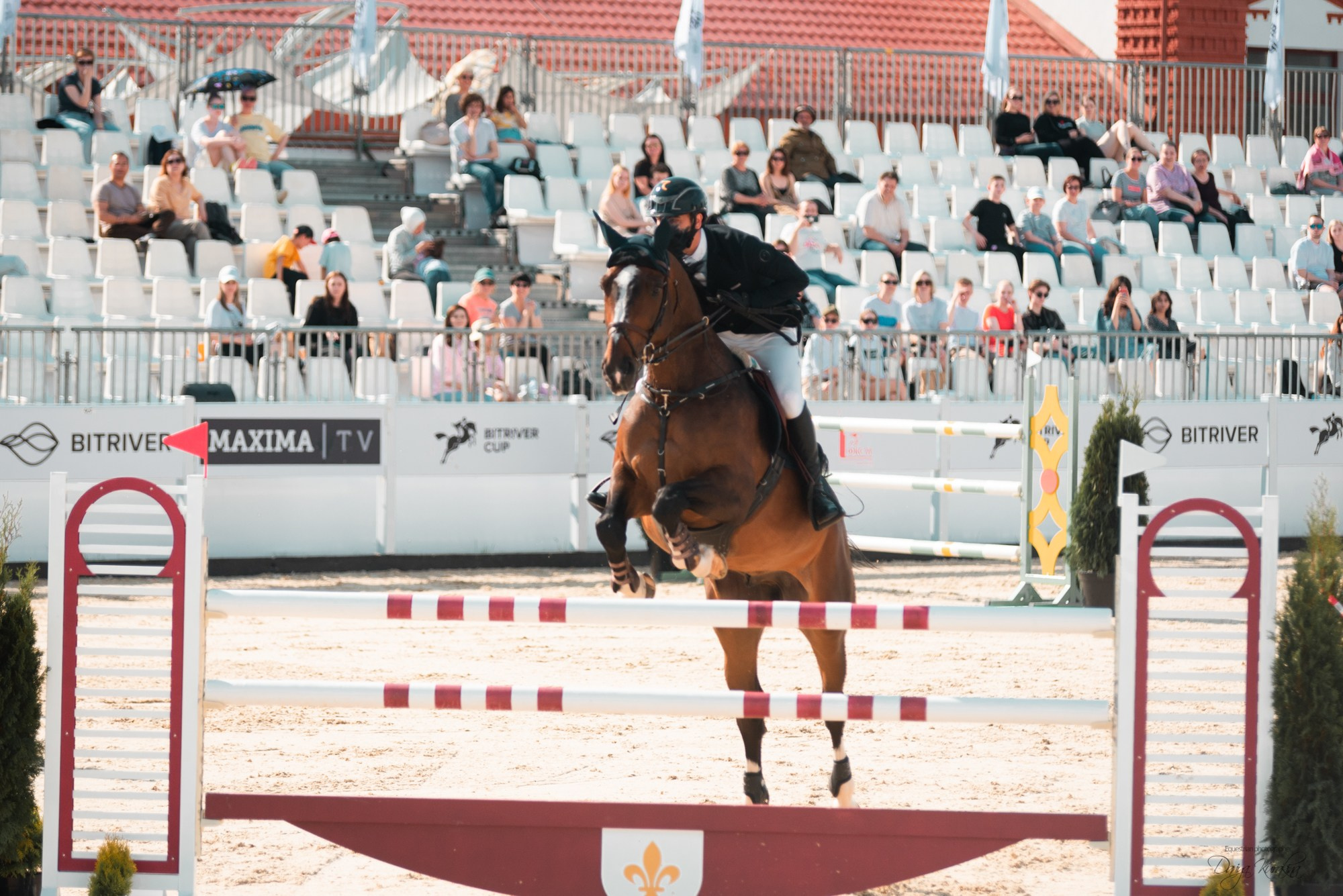 BITRIVER CUP 2023. Конный фотограф Куракина Дарья • Фотосессии с лошадьми