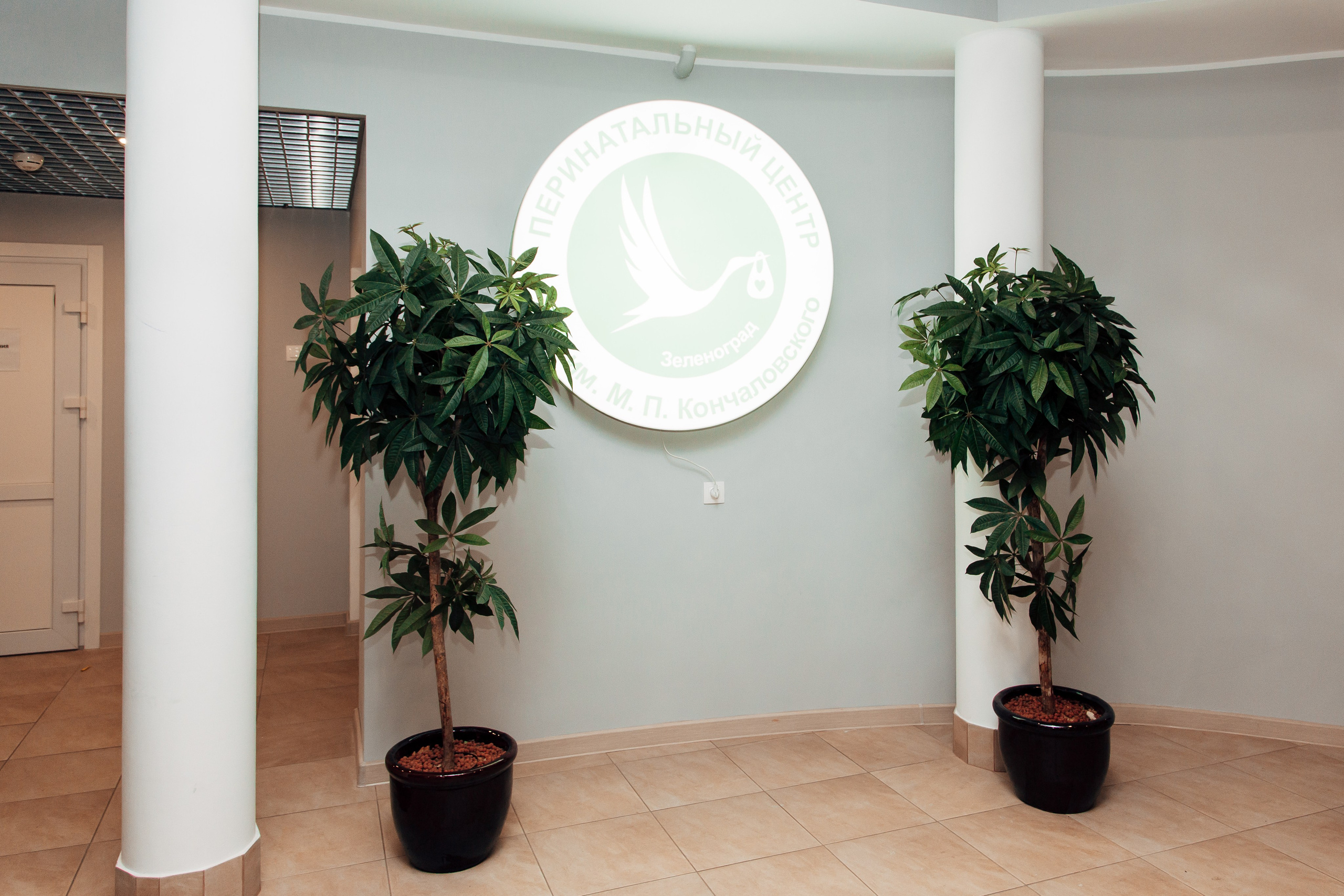 Выписка 28 января. Свадебный фотограф Александр Абрамов Москва / Зеленоград