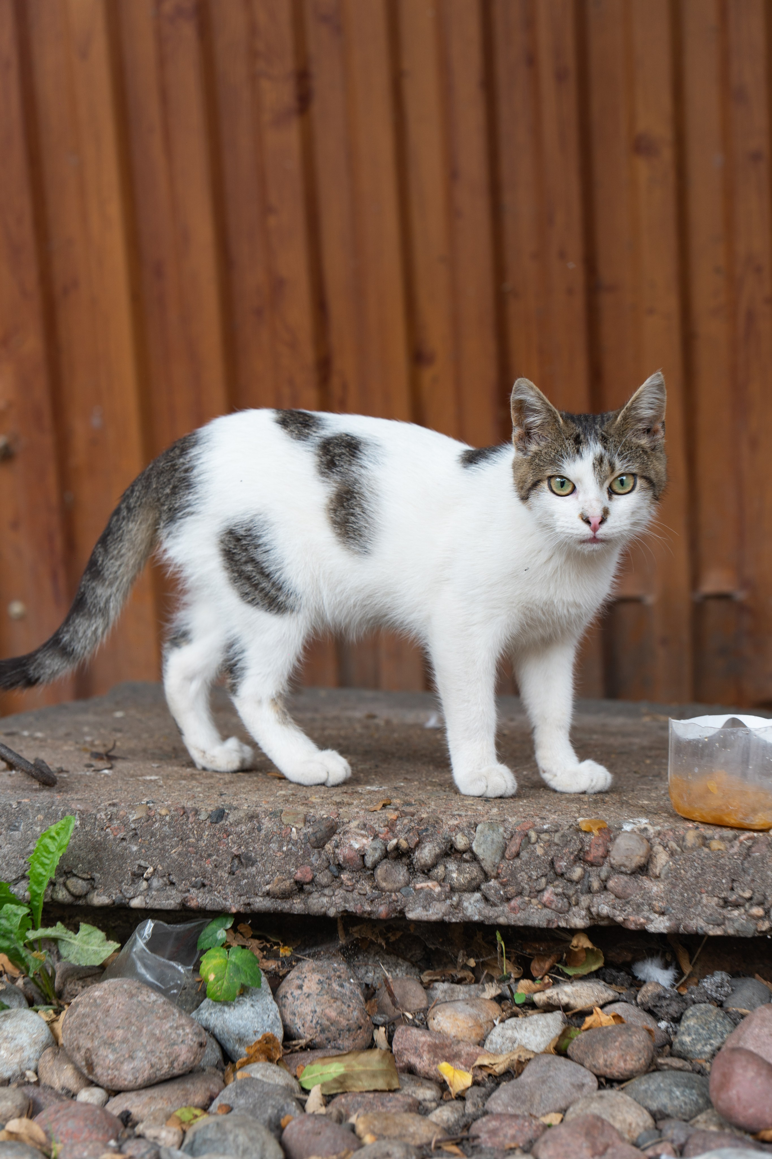 Калининградская область. Gusarov Travel Photography