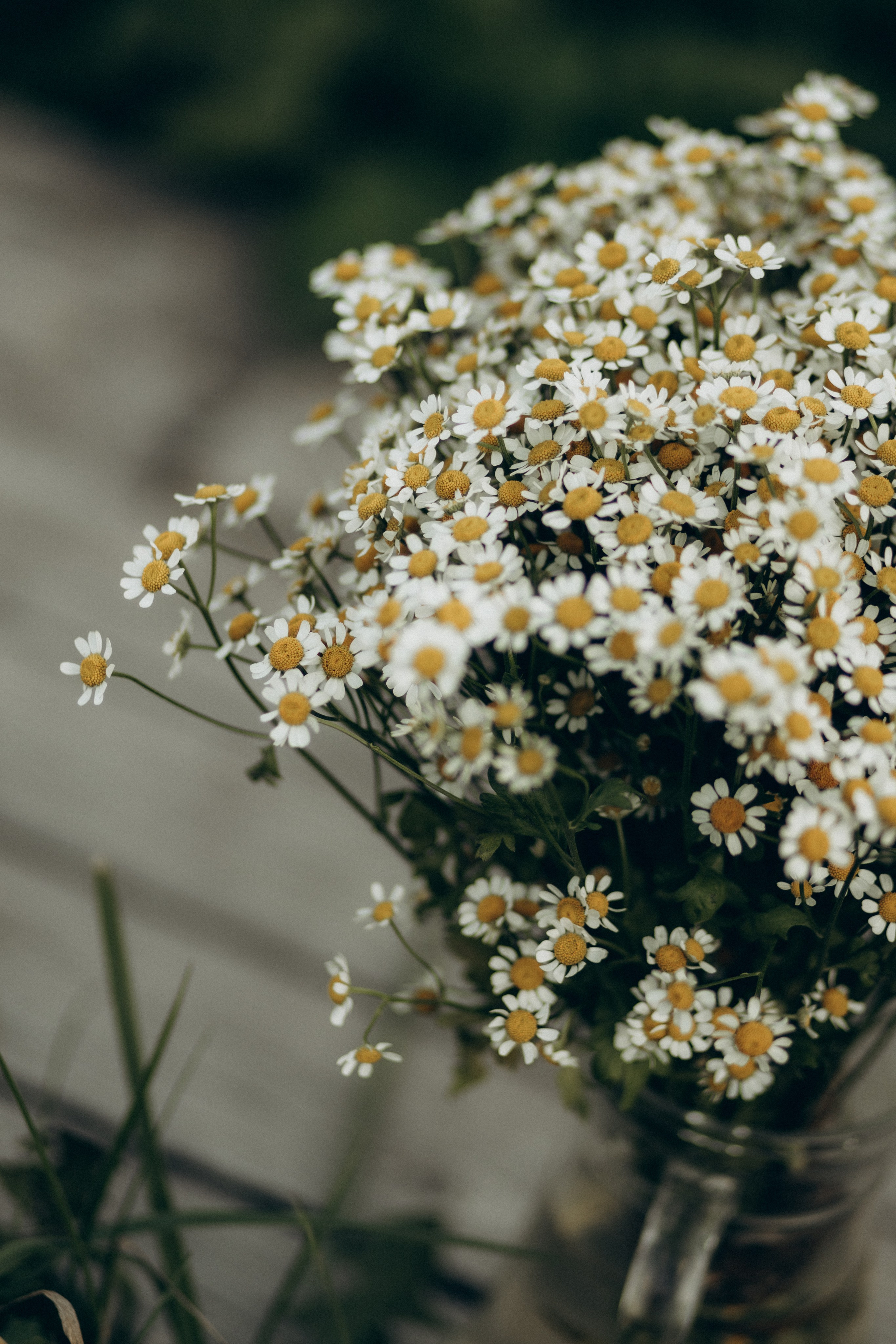 Jannet — балалайка (бэкстейдж к клипу). Фотограф НОГИНСК, Москва, Анастасия Белая