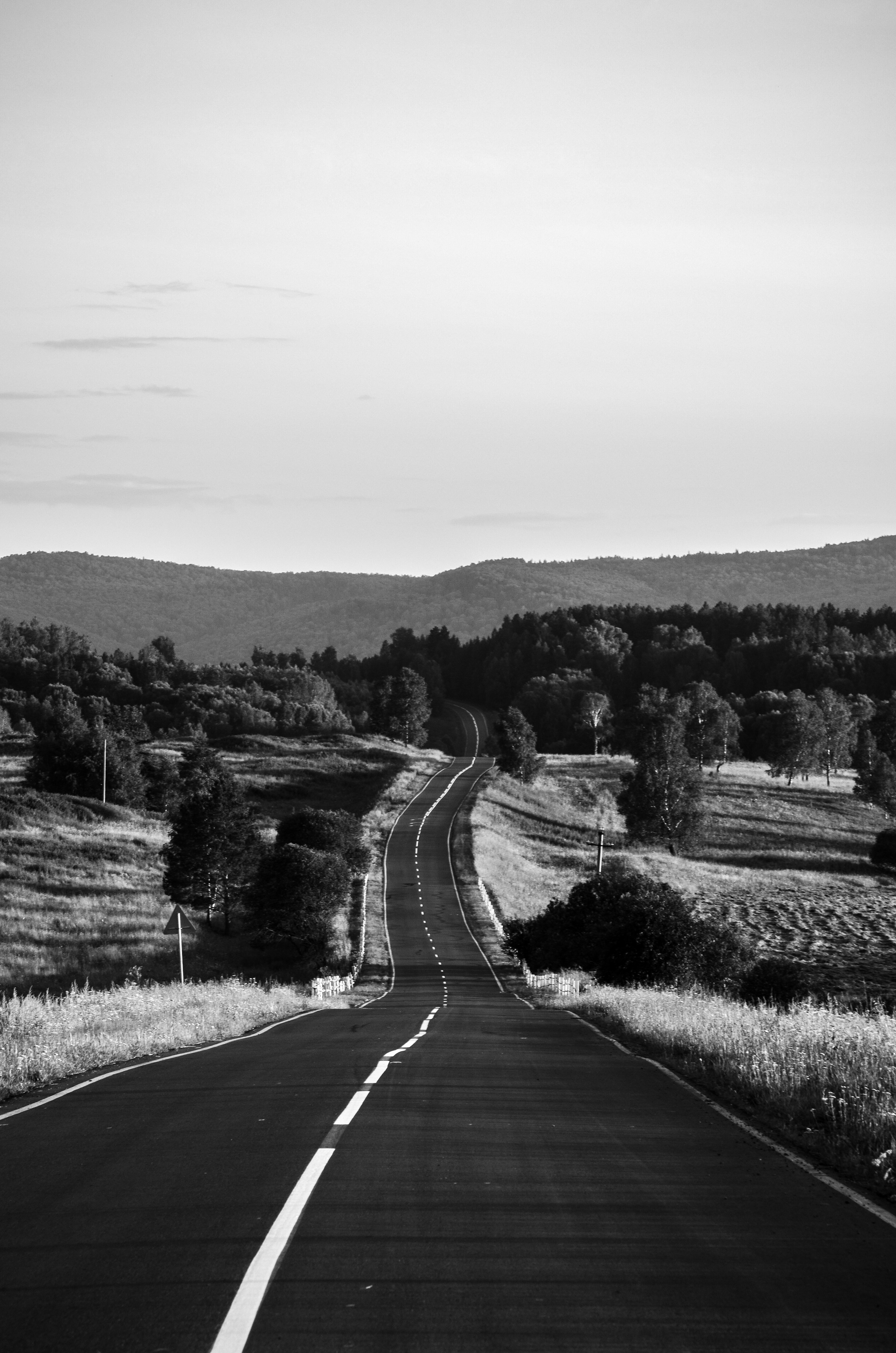 Nature. Портретный фотограф в Москве Ксения Богданова