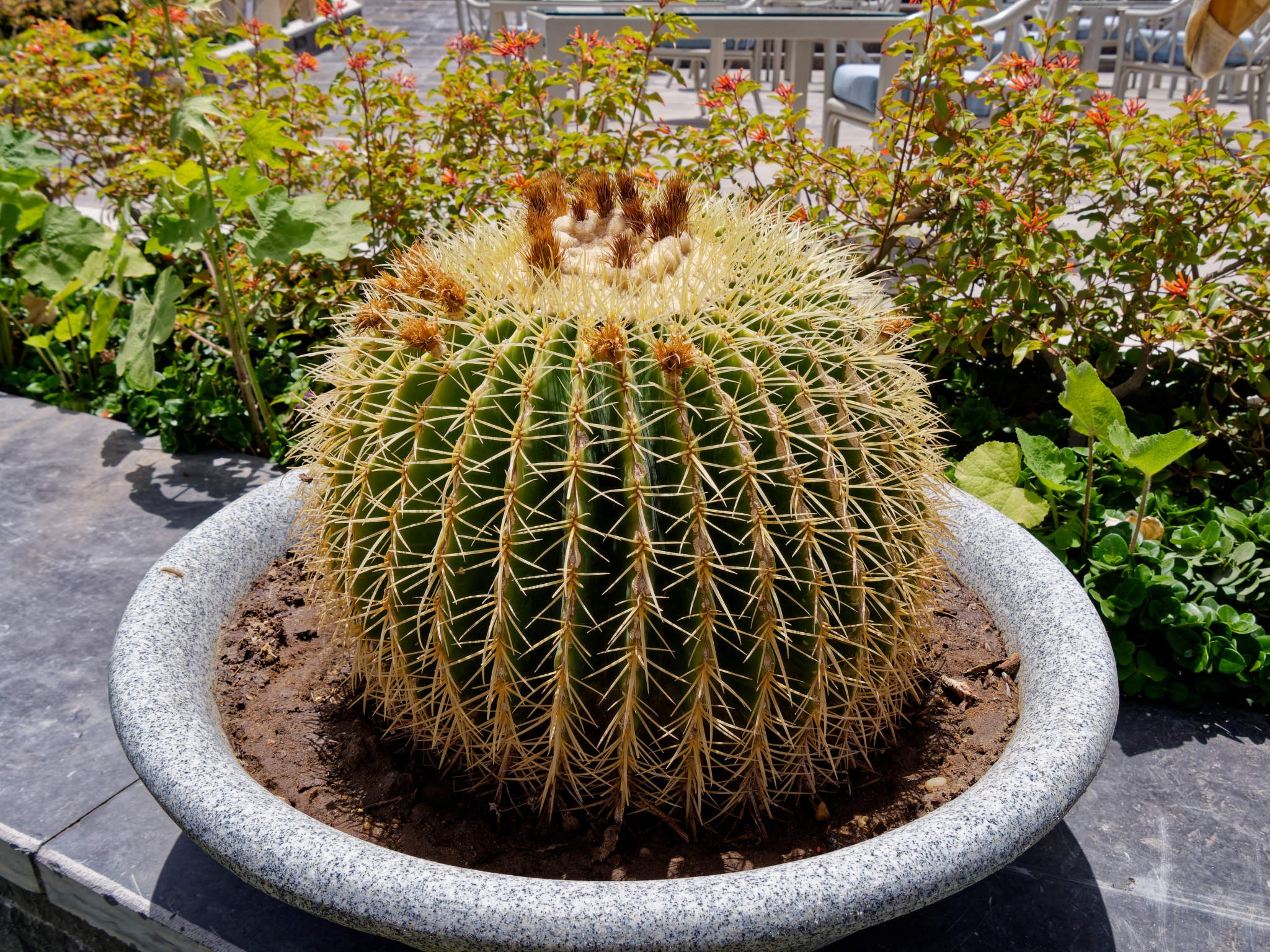 Шарм-эль-Шейх 2024. Избранные фотографии