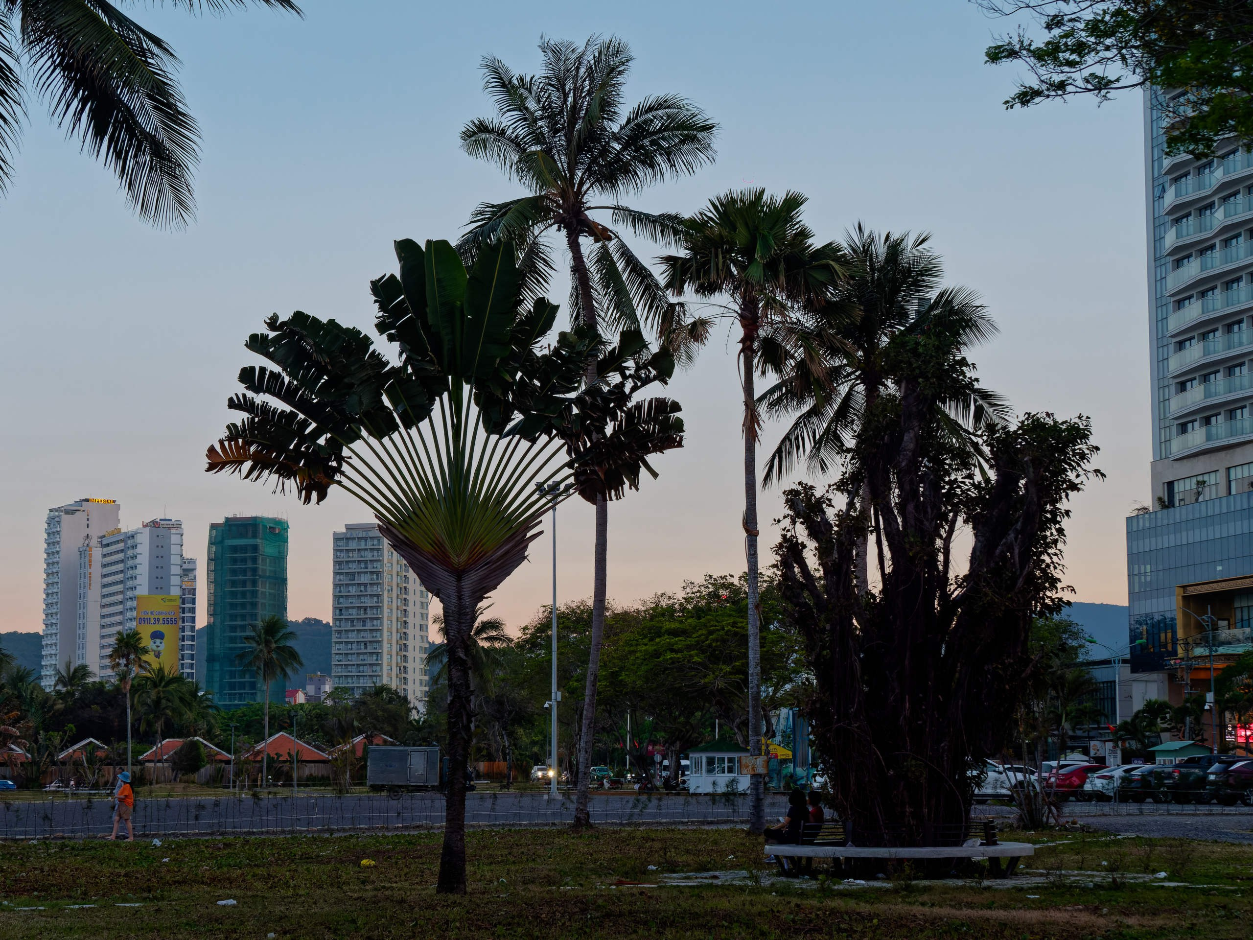 Нячанг 2025 (2). Избранные фотографии