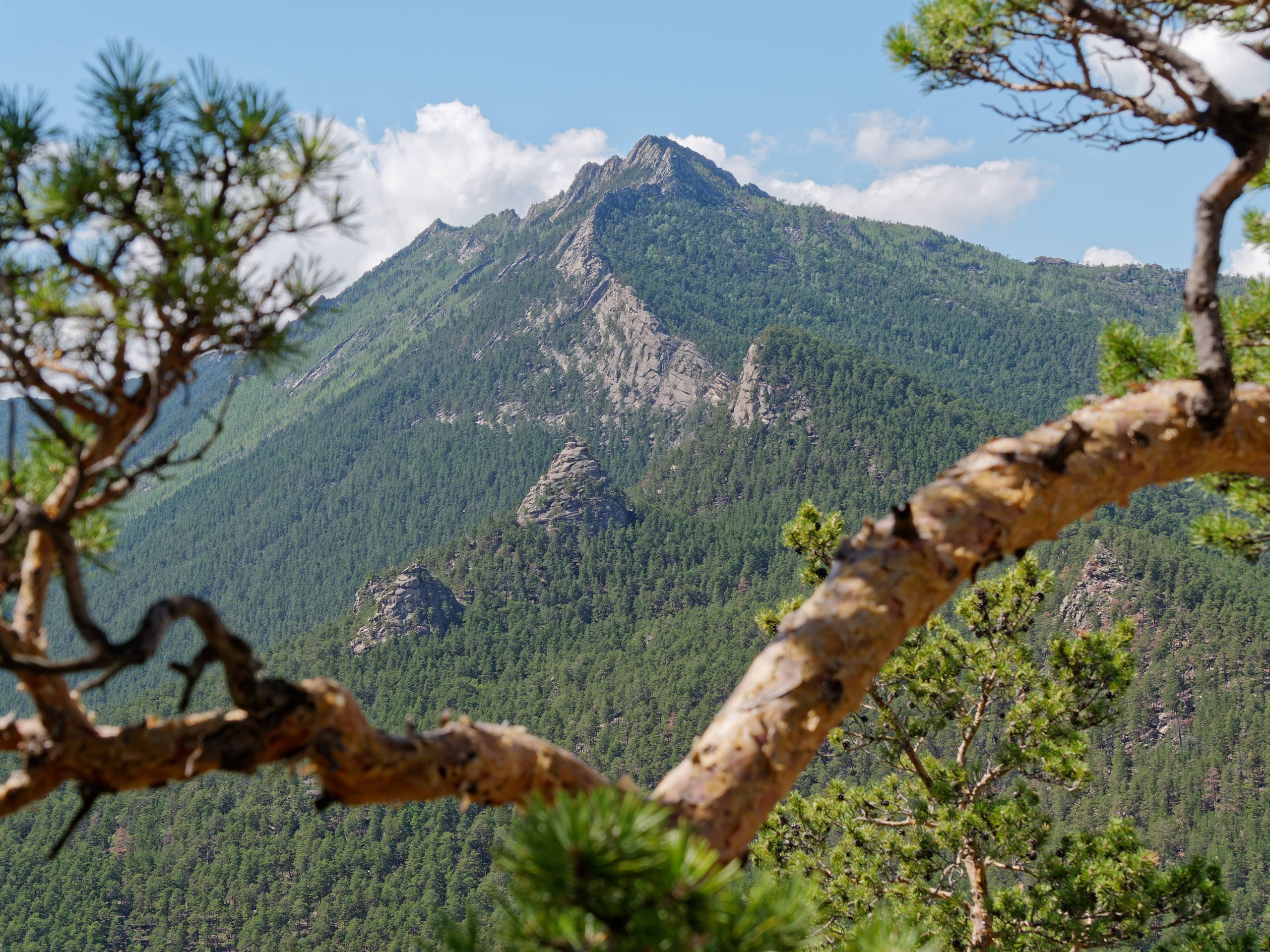 Боровое 2022 (из архива). Избранные фотографии