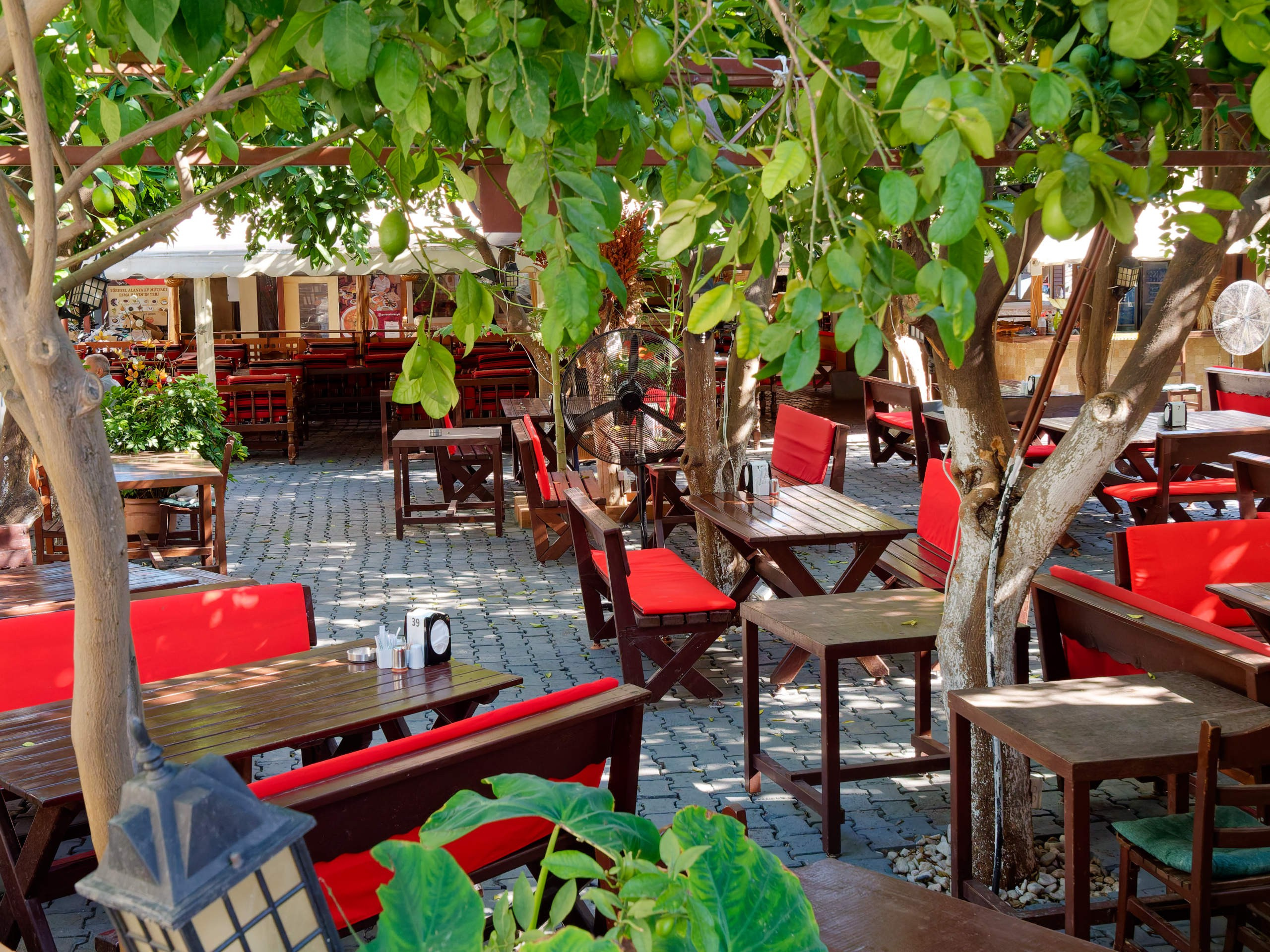 Алания 2025, город, стрит-фото. Избранные фотографии