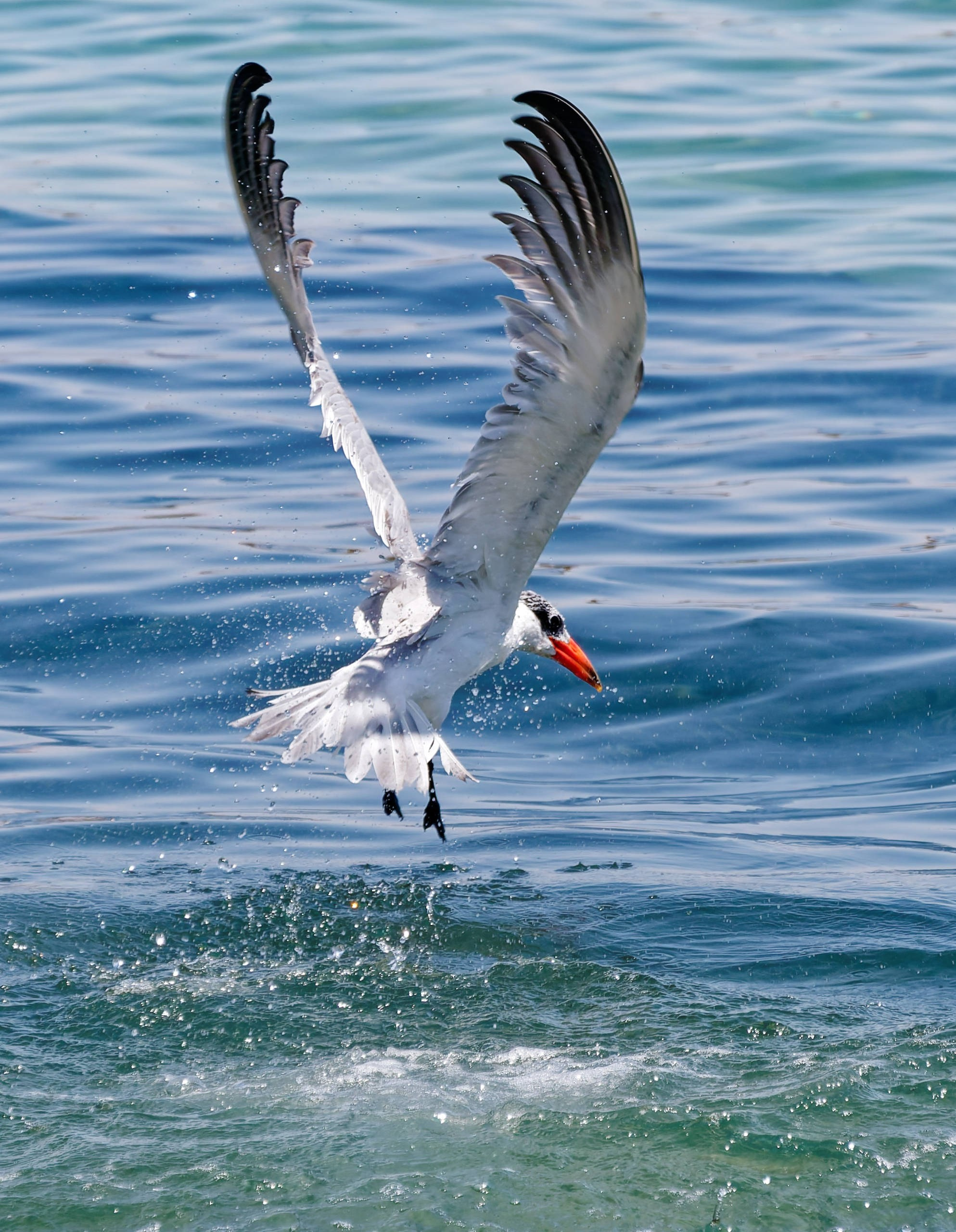 Шарм-эль-Шейх 2022 (1). Избранные фотографии