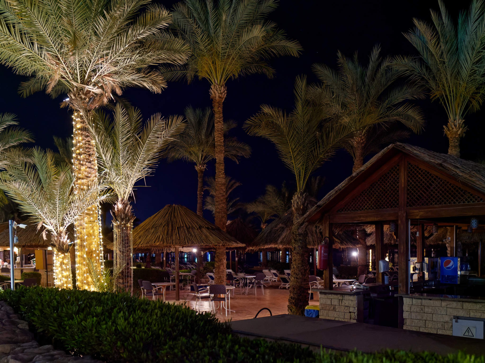 Шарм-эль-Шейх 2024. Избранные фотографии