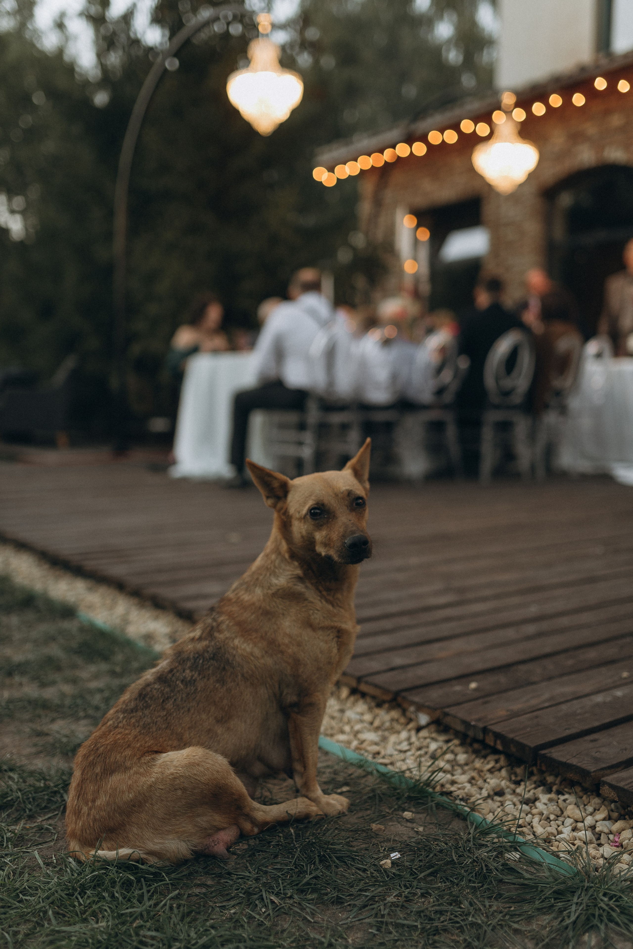 Знай, это любовь. Фотограф Гилярова Злата Белгород