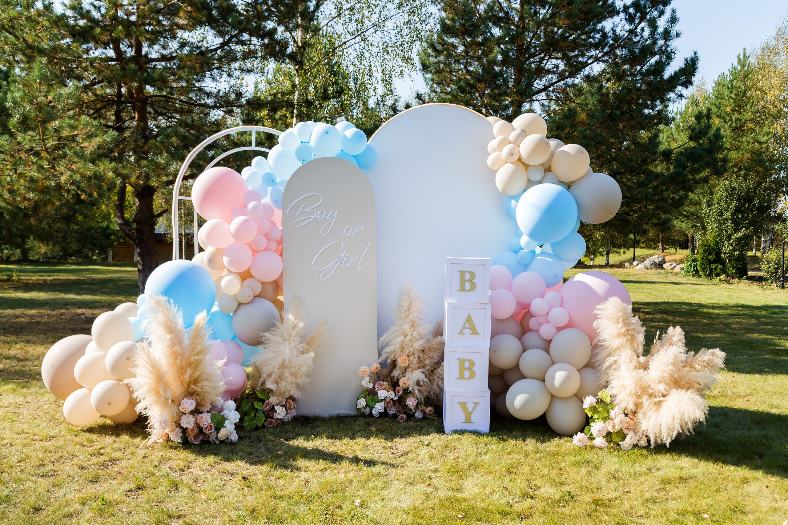 Gender party. Семейный фотограф в Иваново Ирина Кузнецова